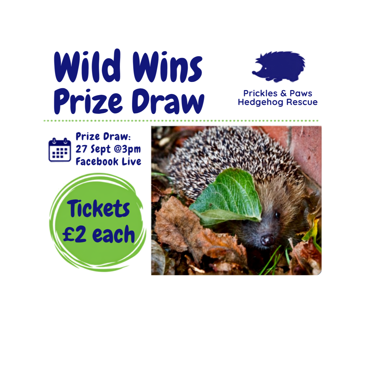 Wild Wins: Annual Prize Draw 2026 Tickets
