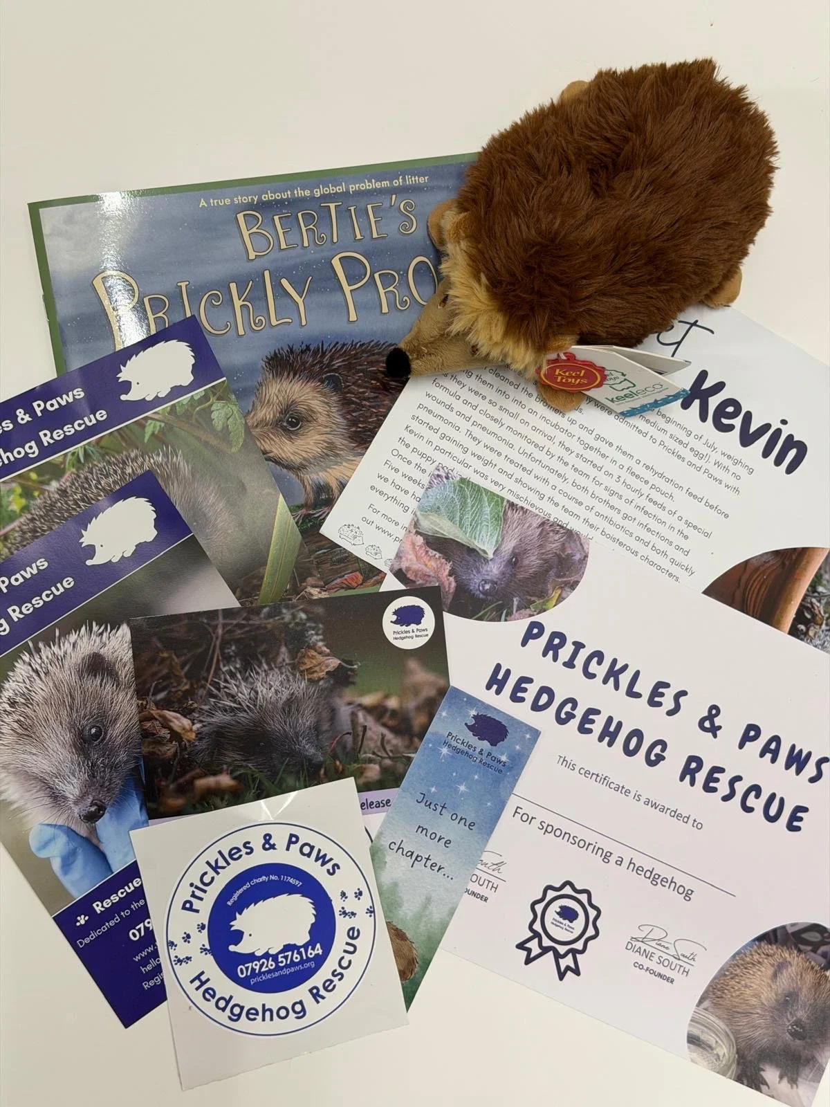 Childrens sponsor a hedgehog.jpg