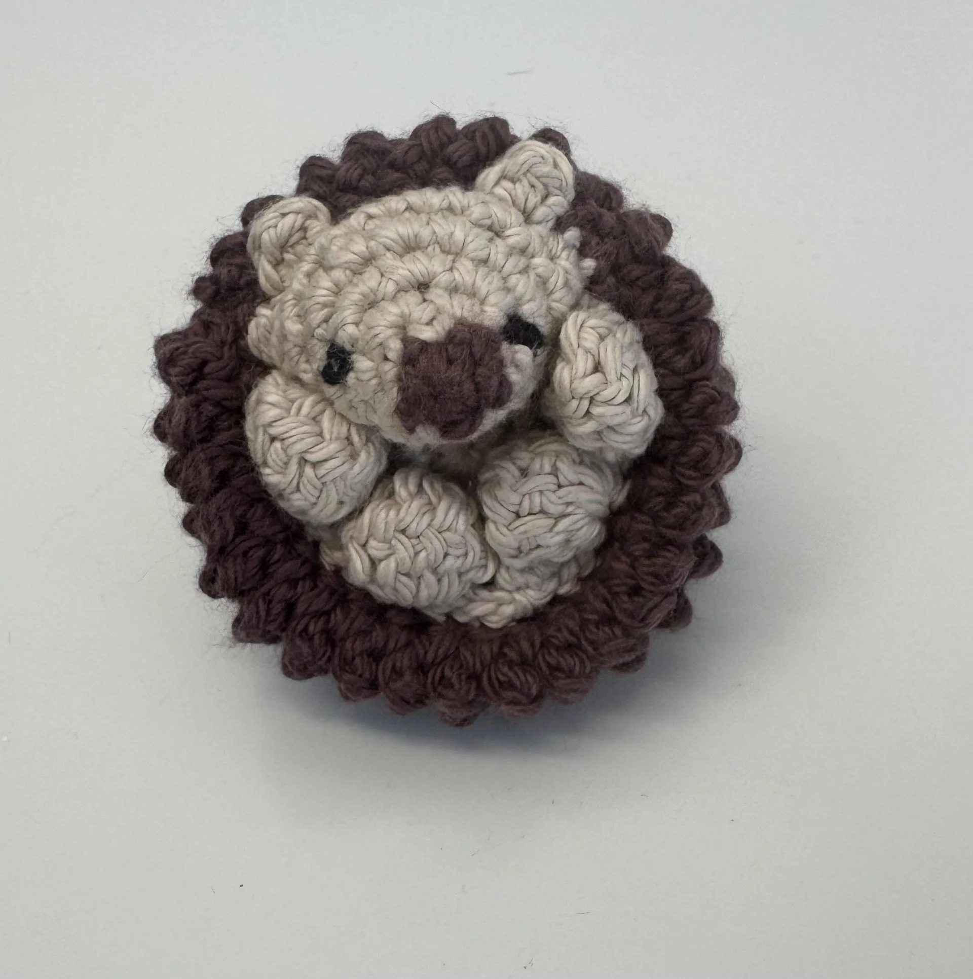 Pop-Out Crochet Hedgehogs