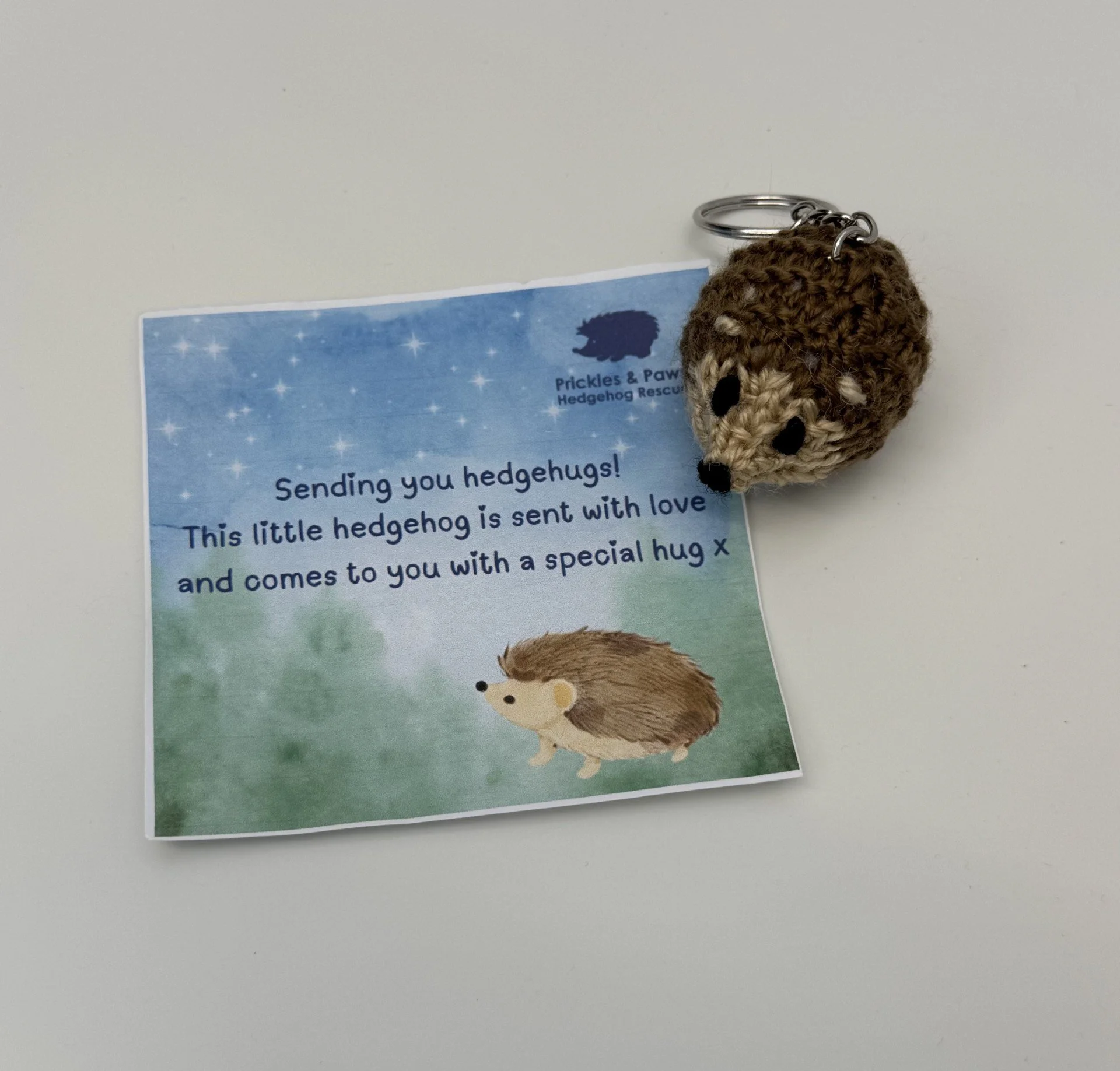 Hedgehug keyring.jpg