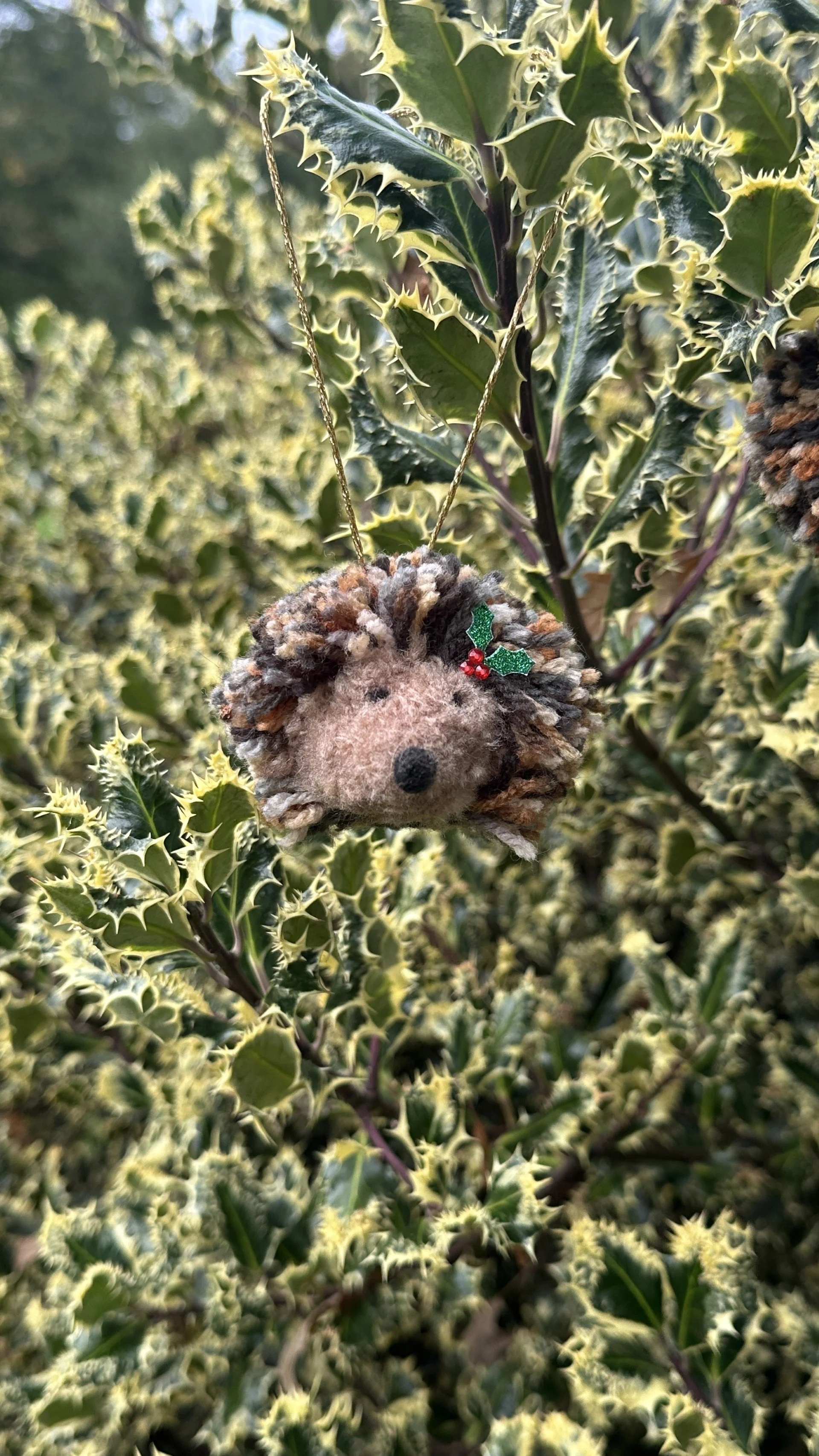 Pompom hog.jpg