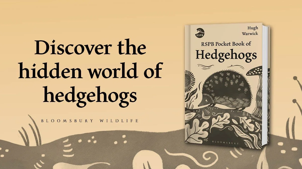RSPB Pocket book of Hedgehogs by Hugh Warwick