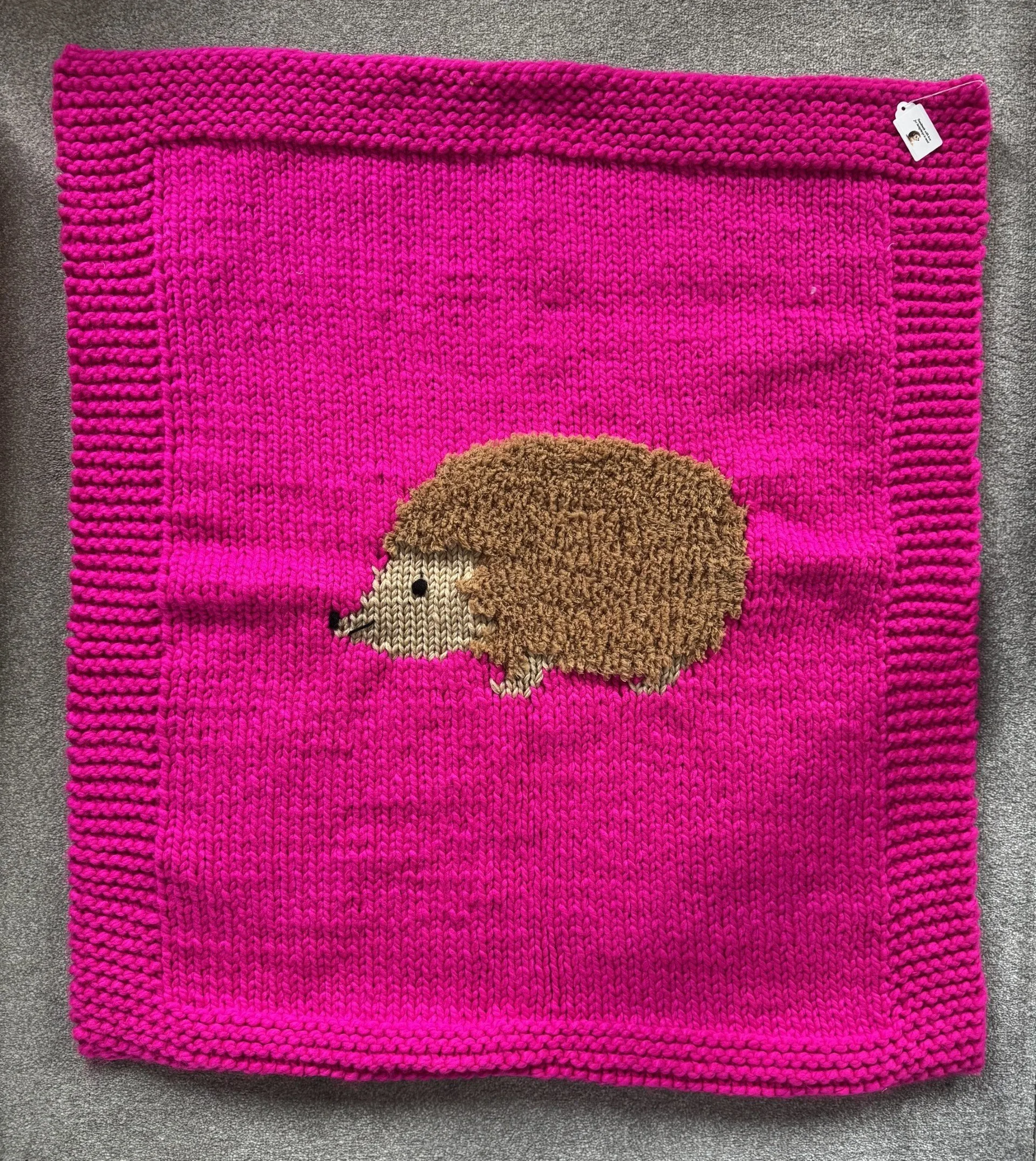 Large pink blanket.jpg
