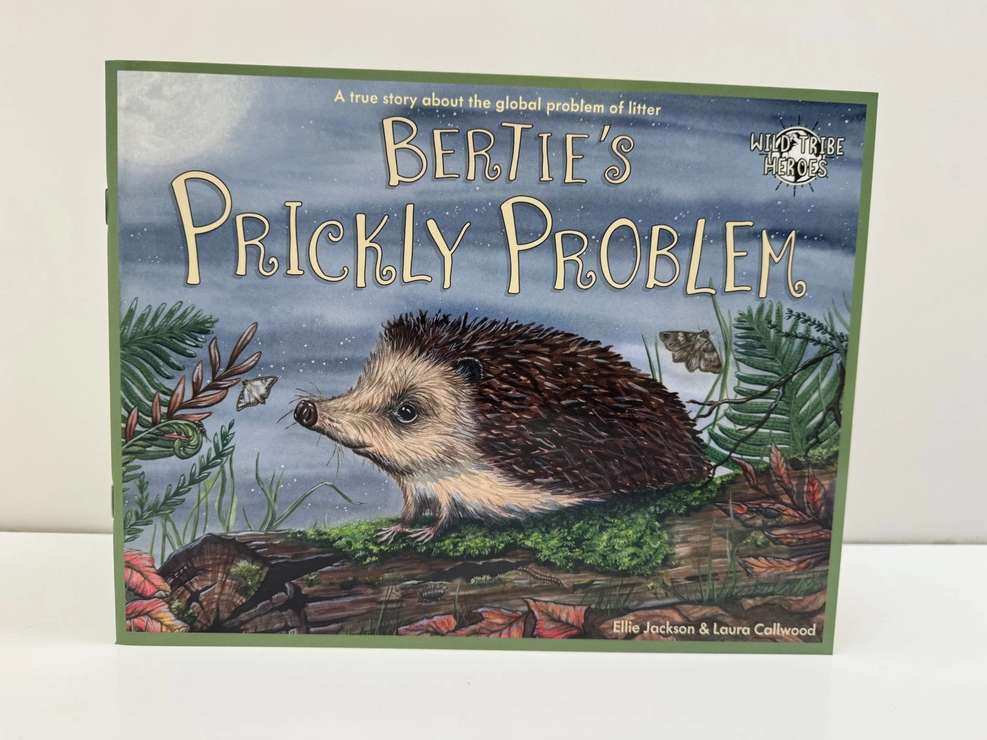 Bertie's Prickly Problem children's story book