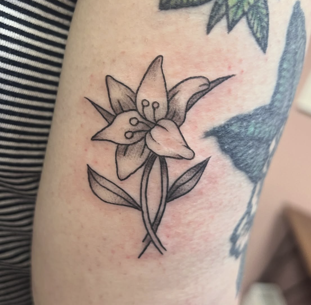 Screenshot 2025-10-13 at 11.42.32.png