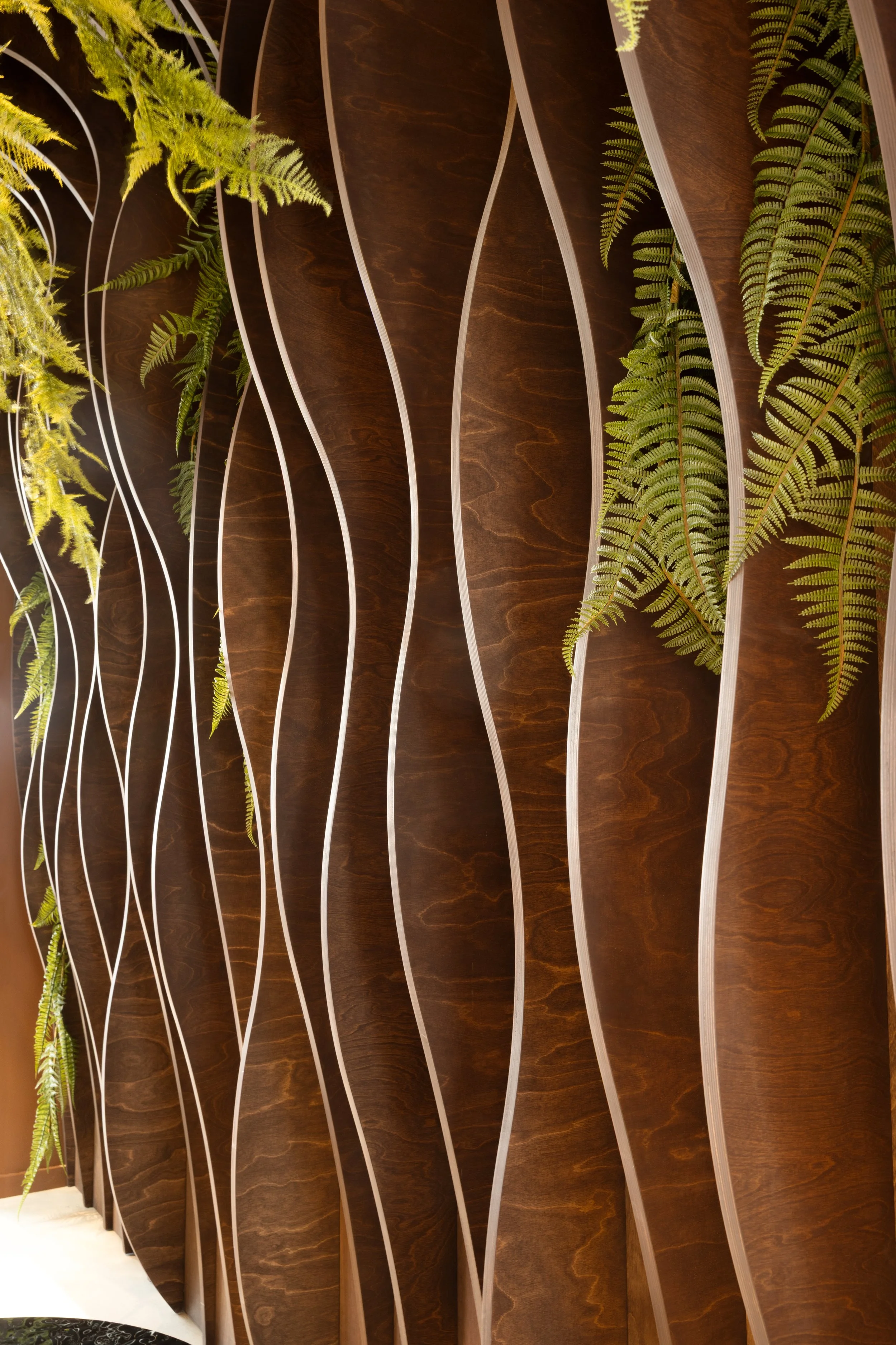 2025 - 03 - 10_untitled_3-346.jpg