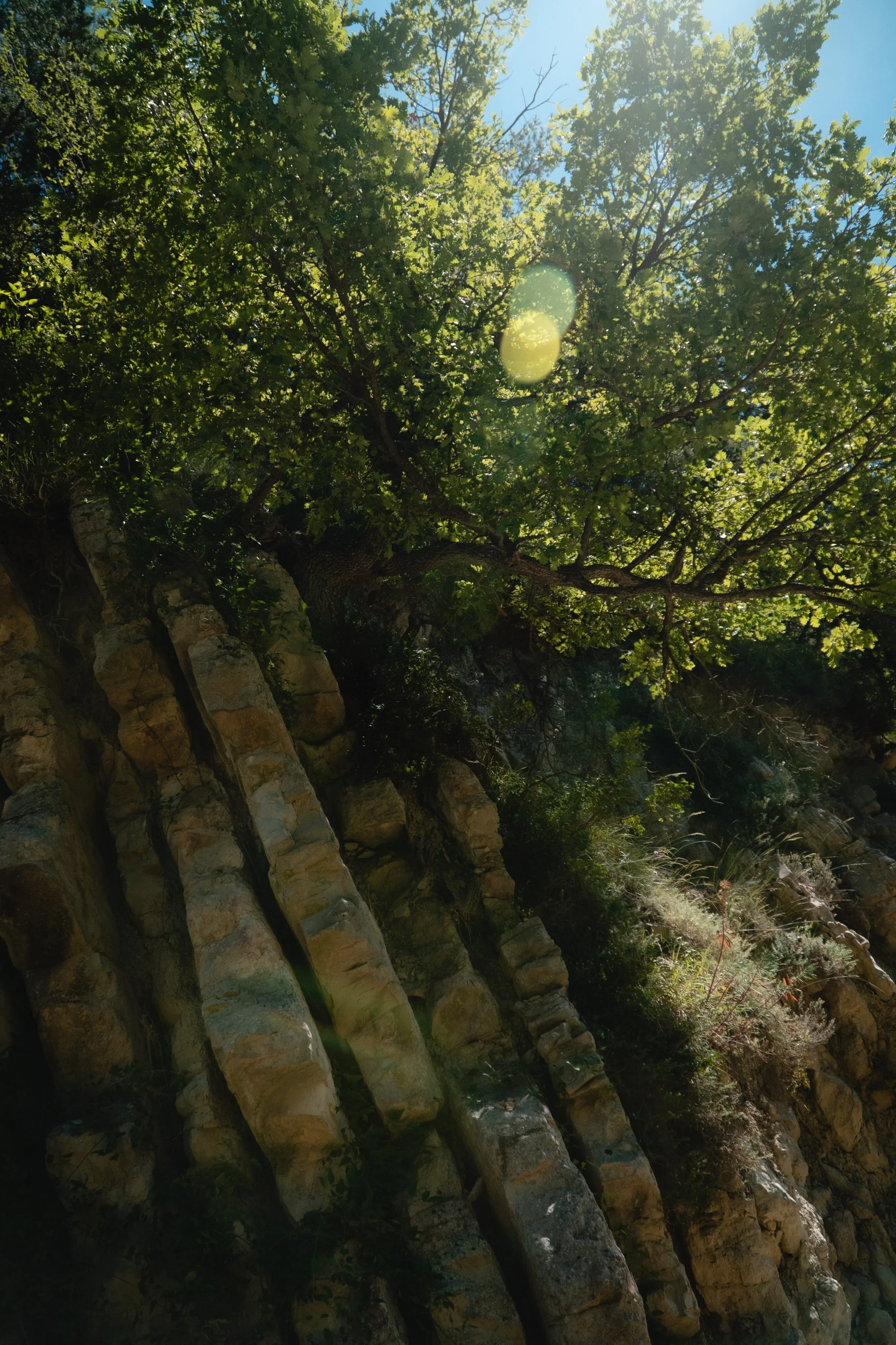 provence-69.jpg