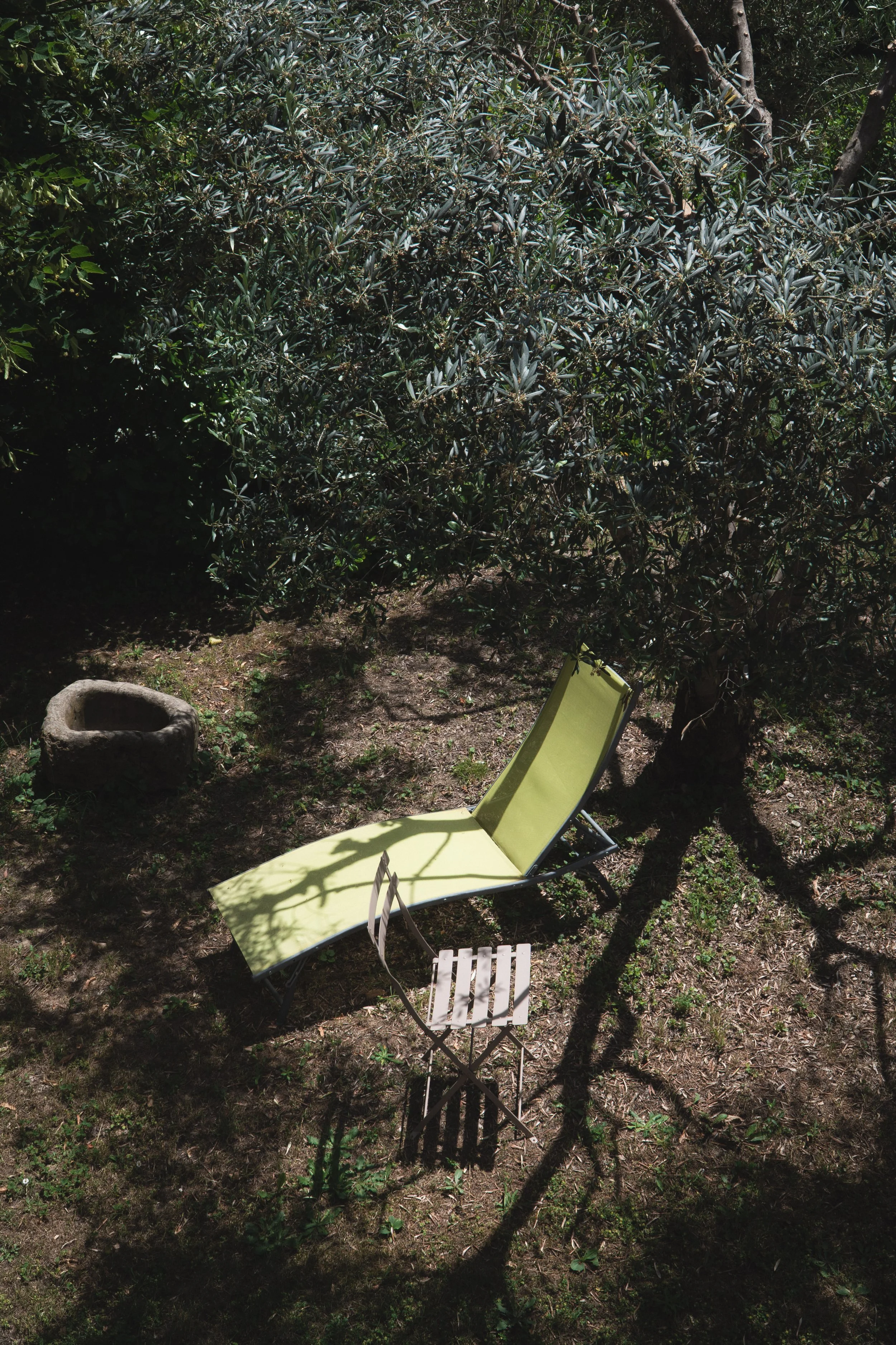 provence-12.jpg