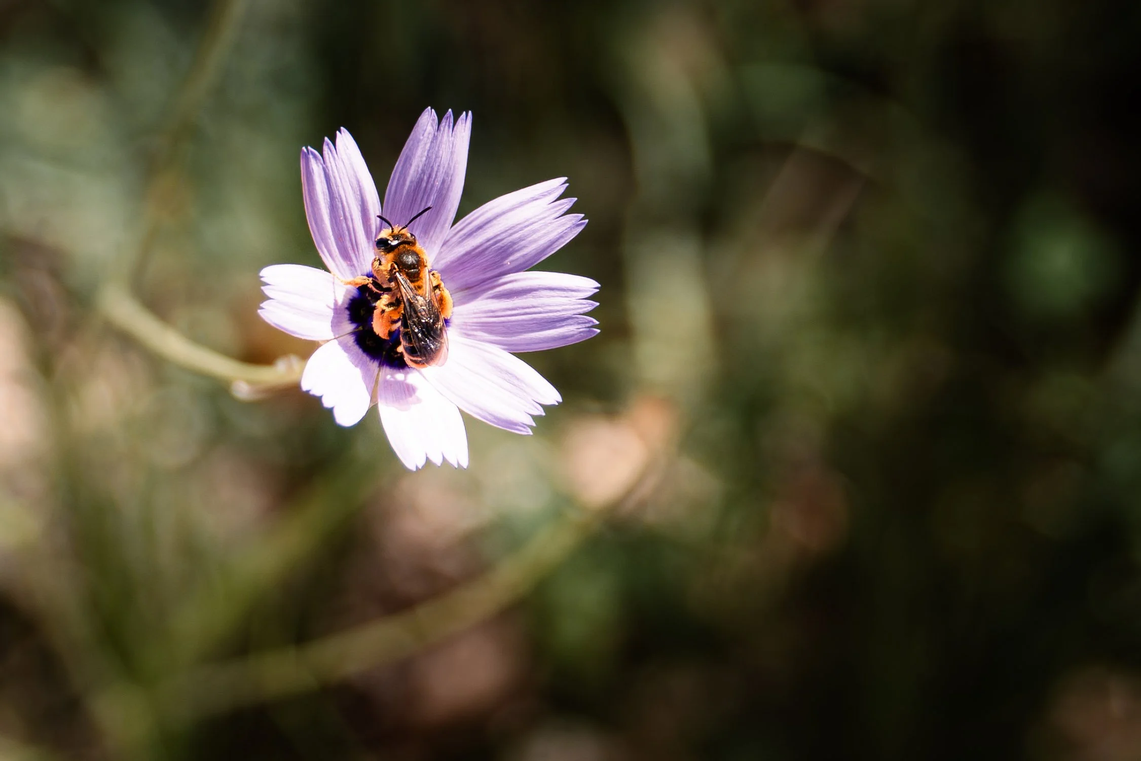 provence-57.jpg