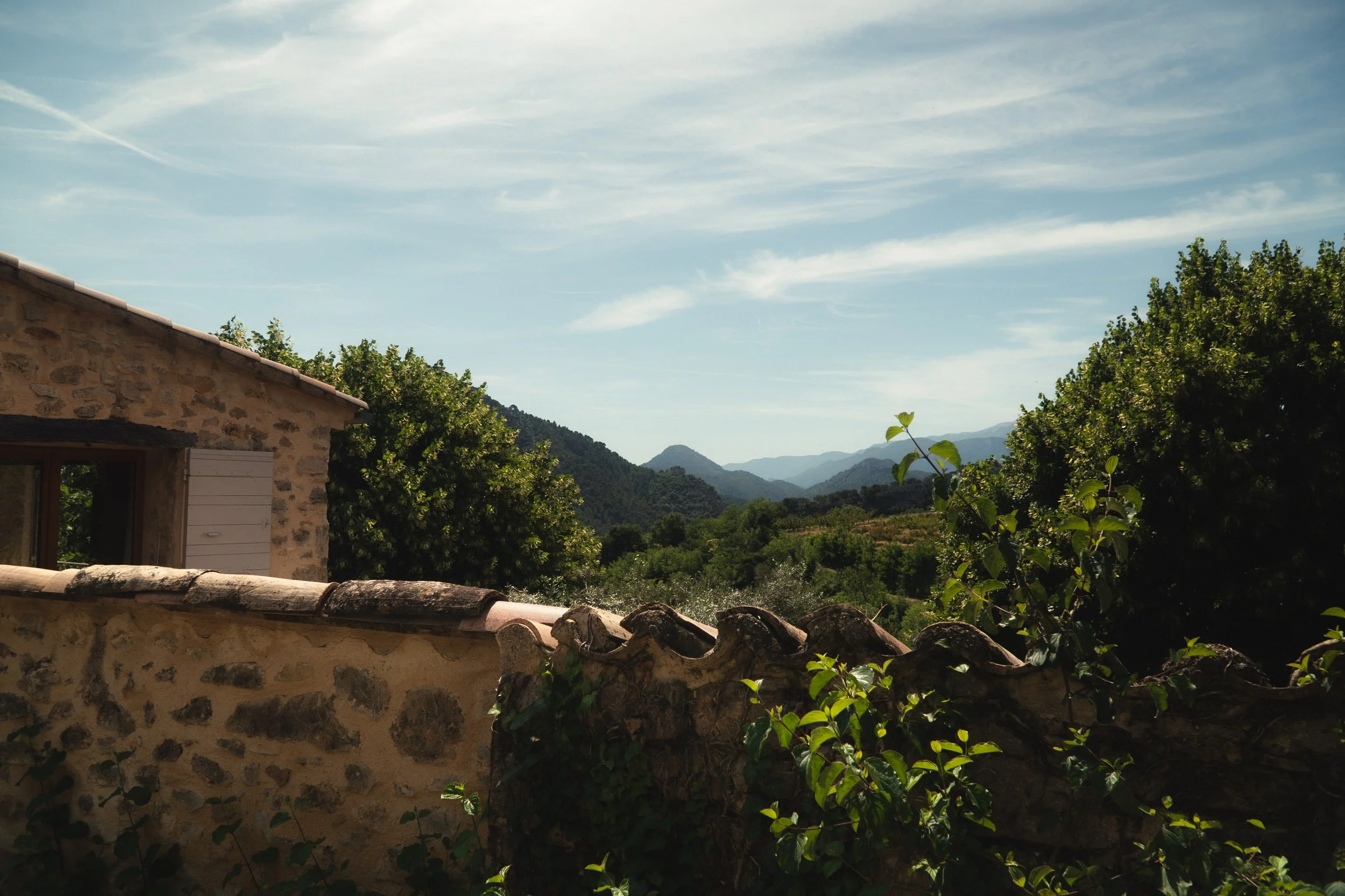 provence-7.jpg