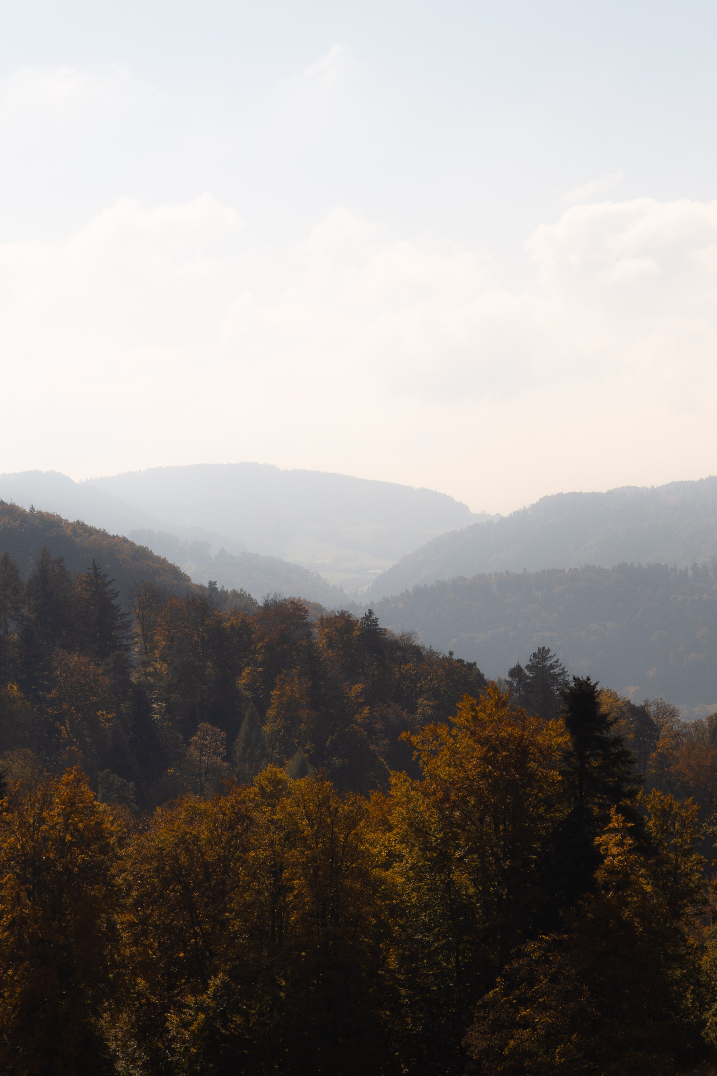 fall-5.jpg