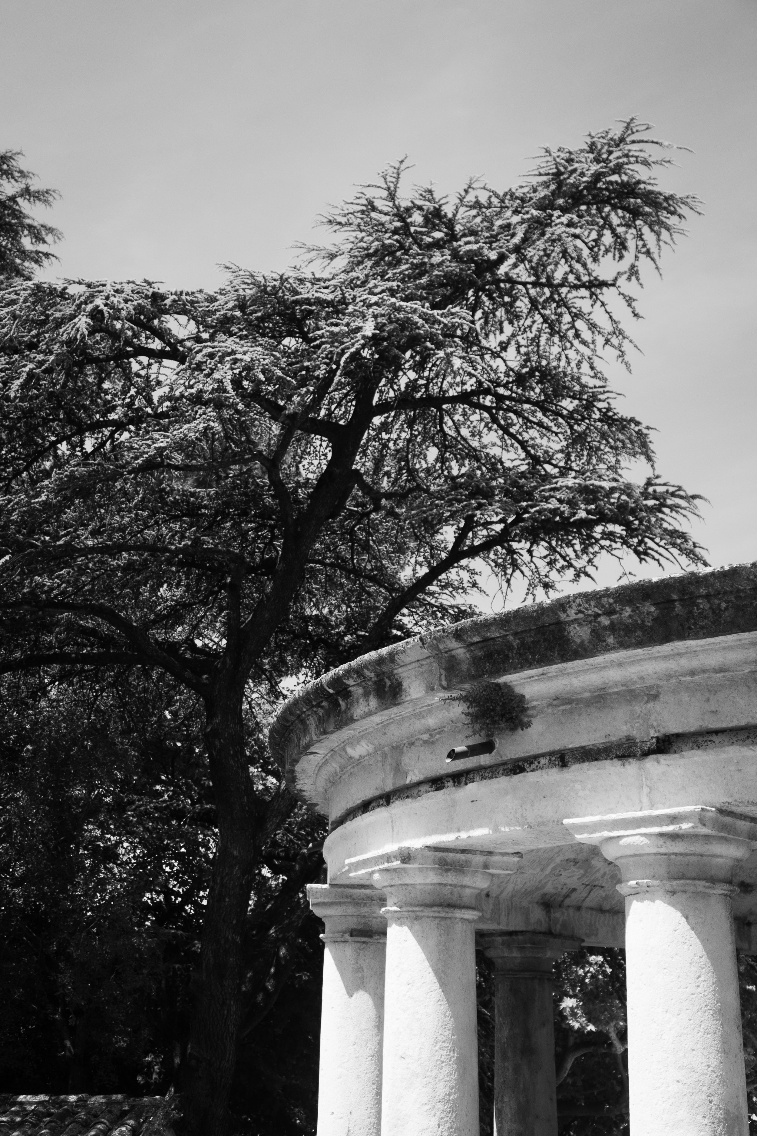 provence-48.jpg