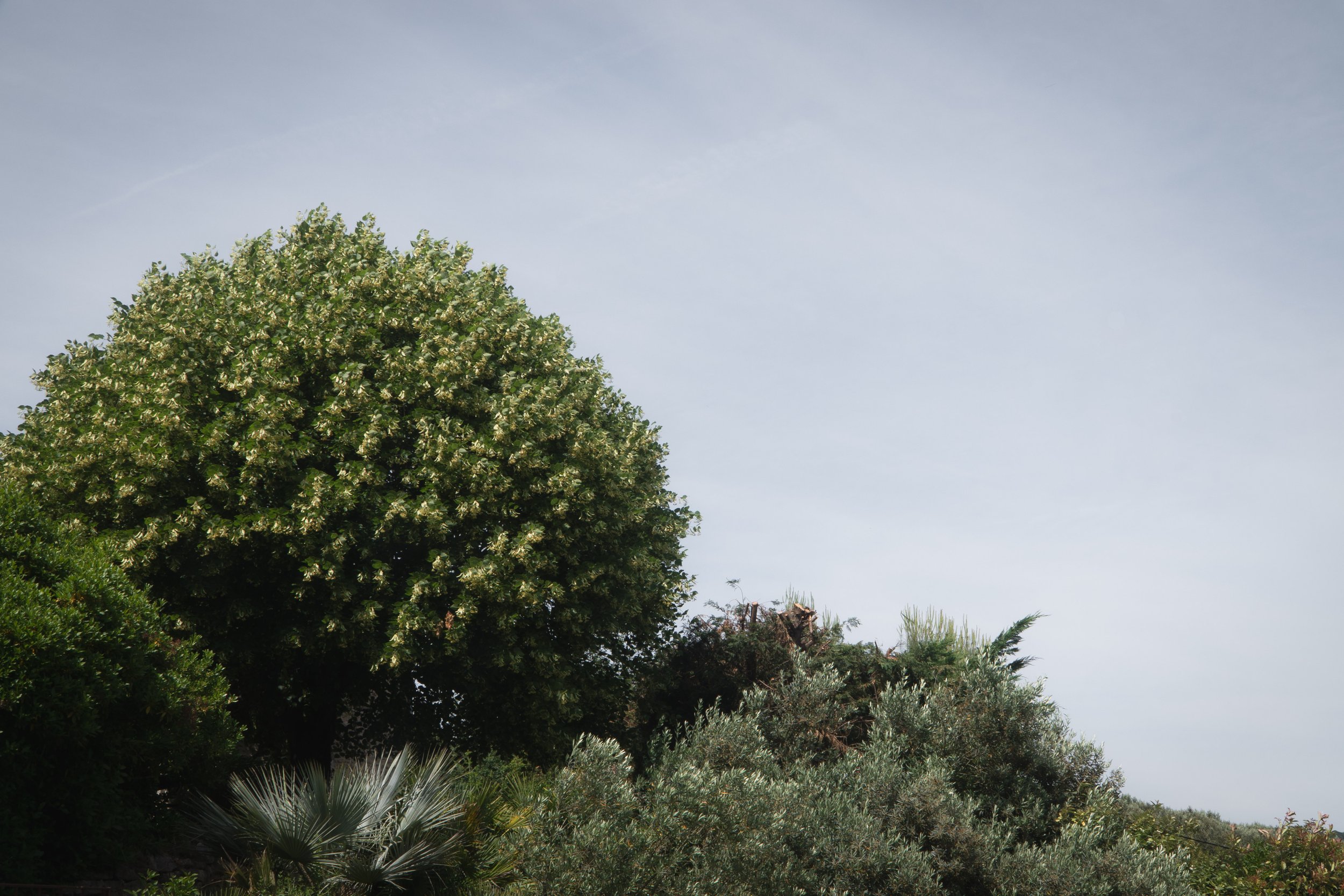 provence-13.jpg