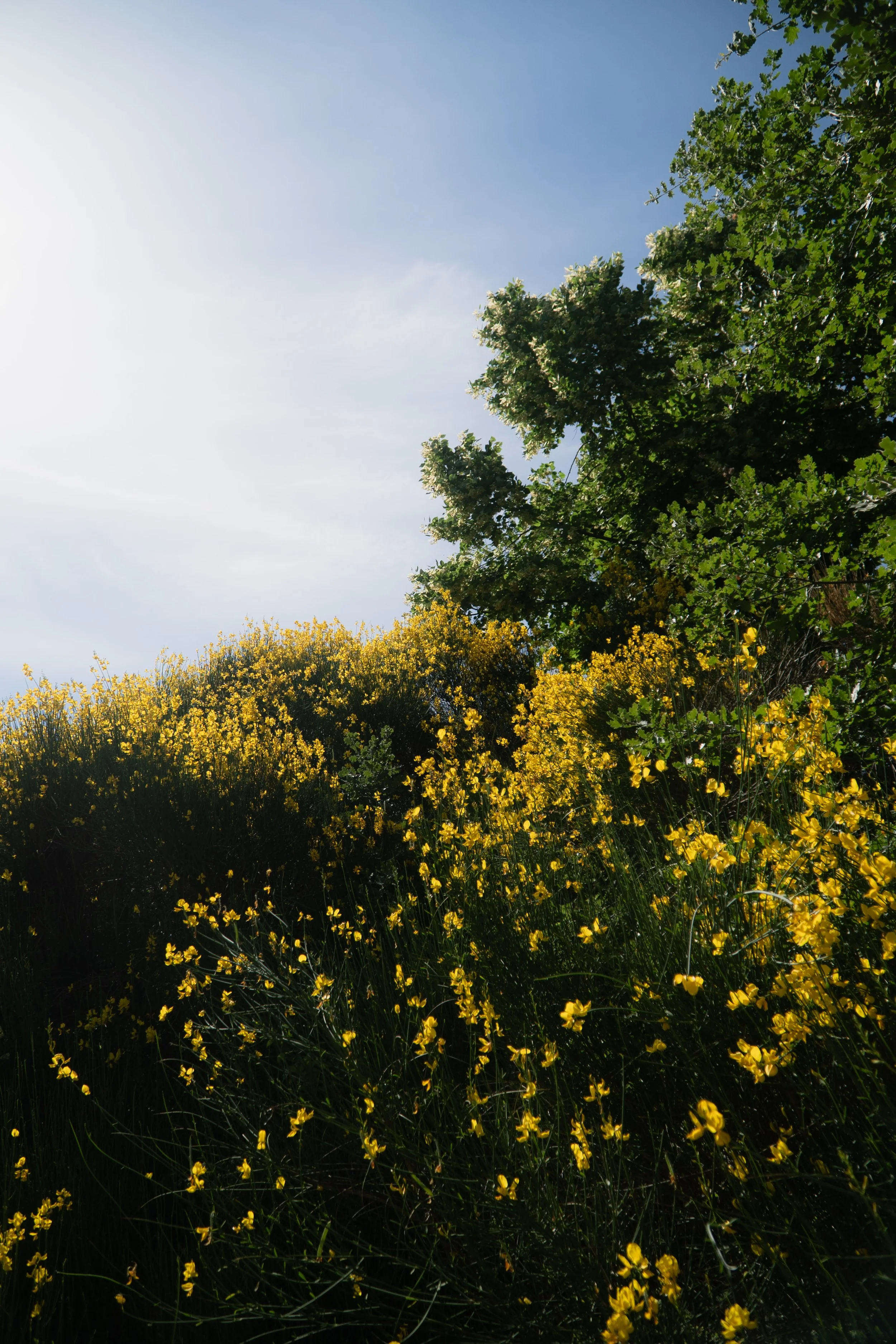 provence-21.jpg