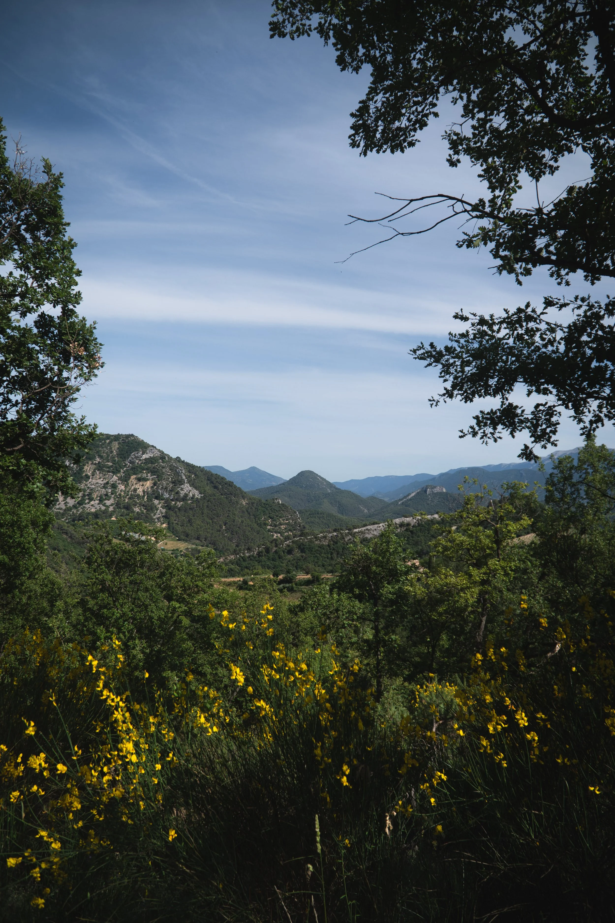 provence-22.jpg
