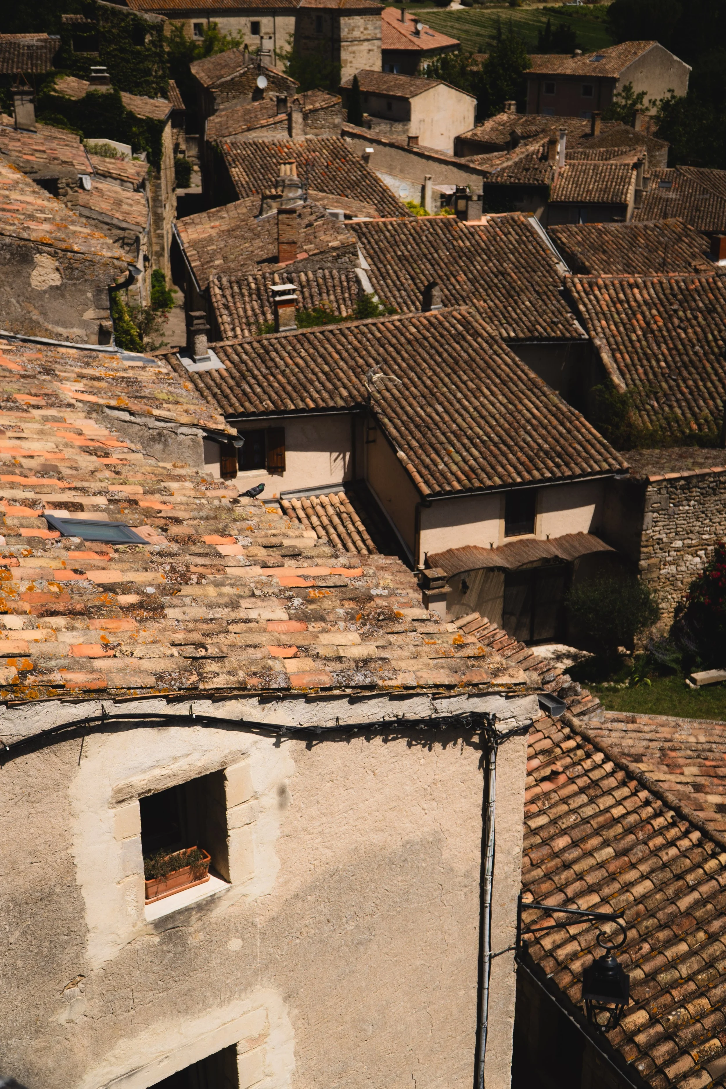 provence-45.jpg