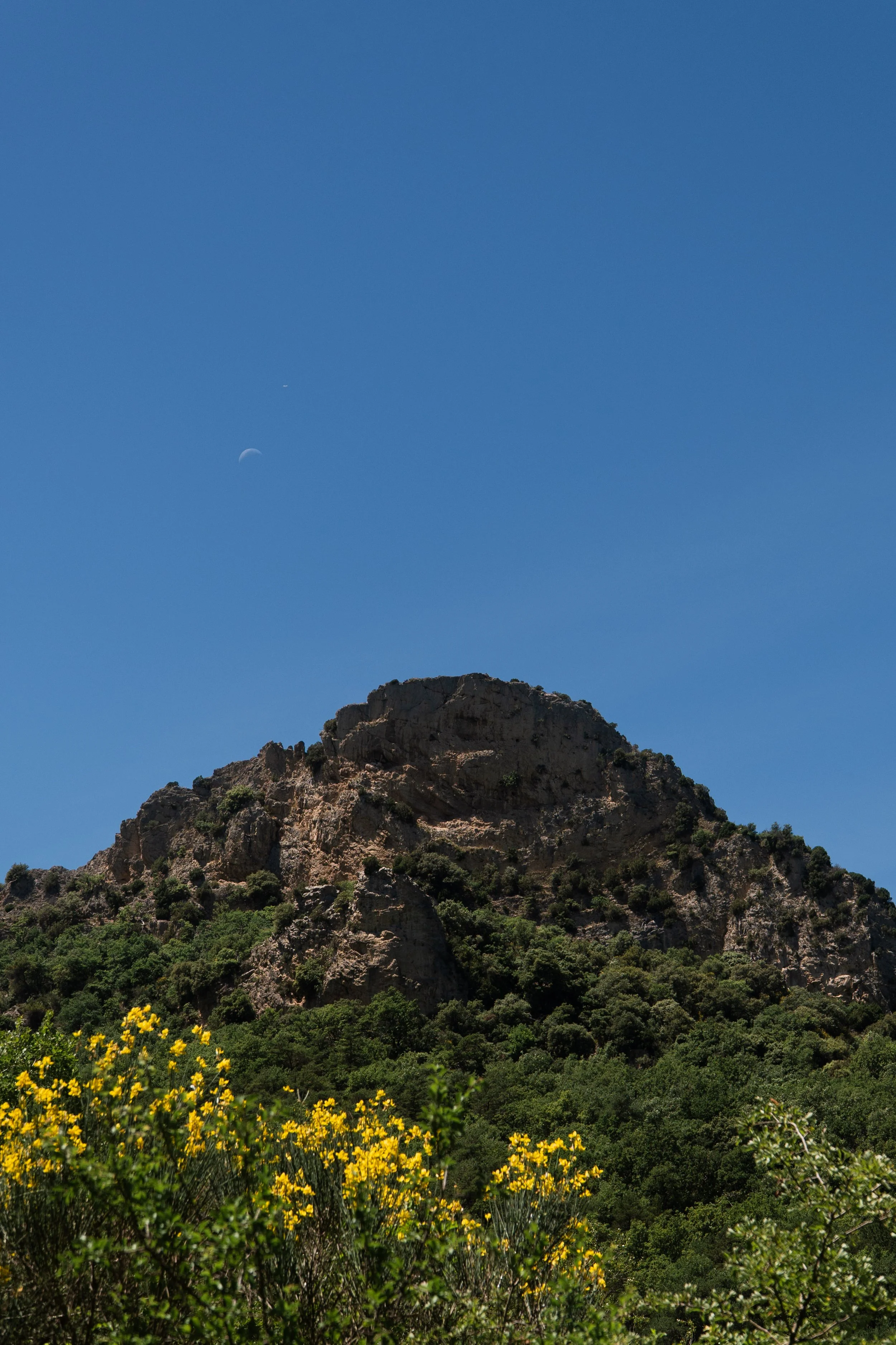 provence-70.jpg