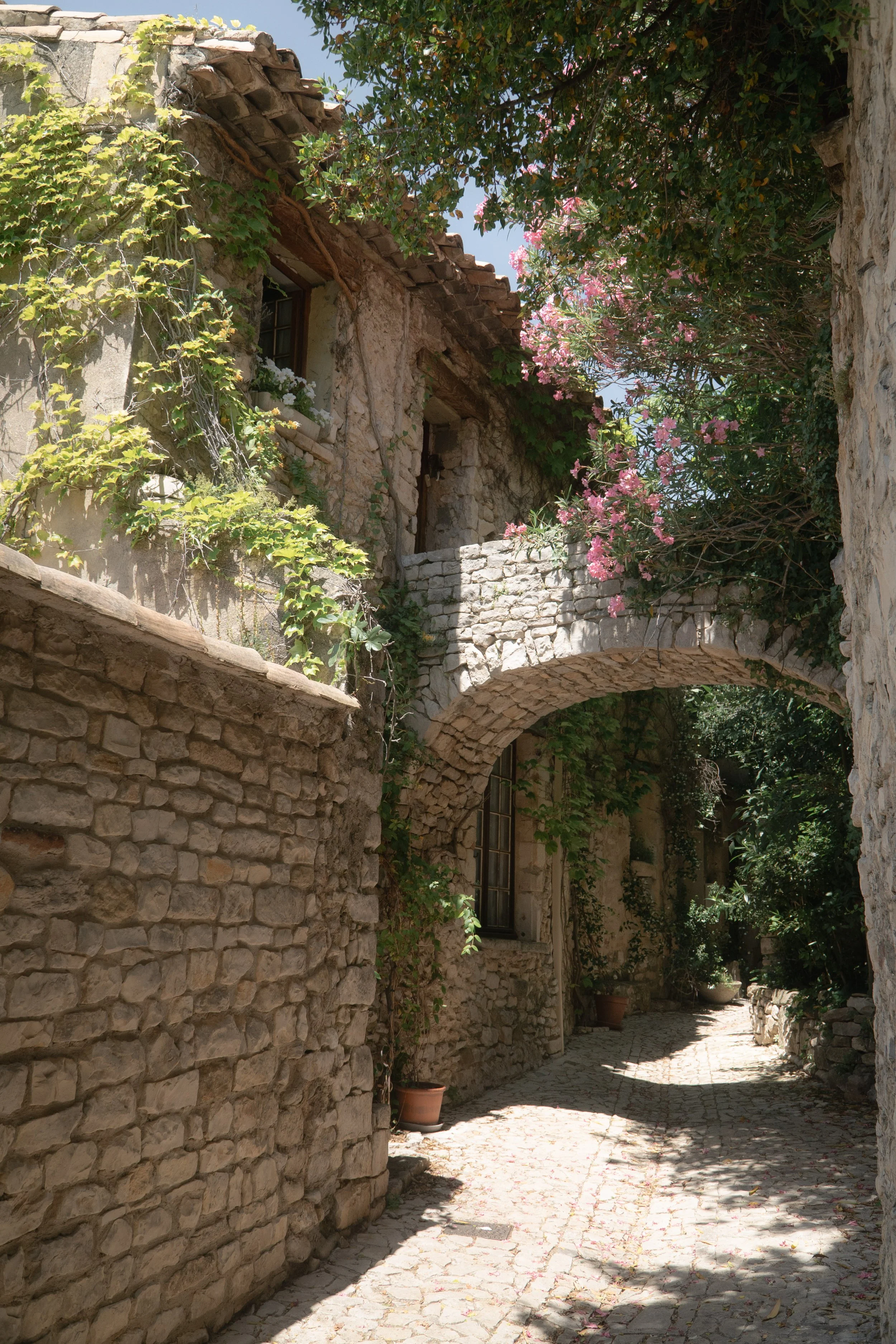 provence-32.jpg