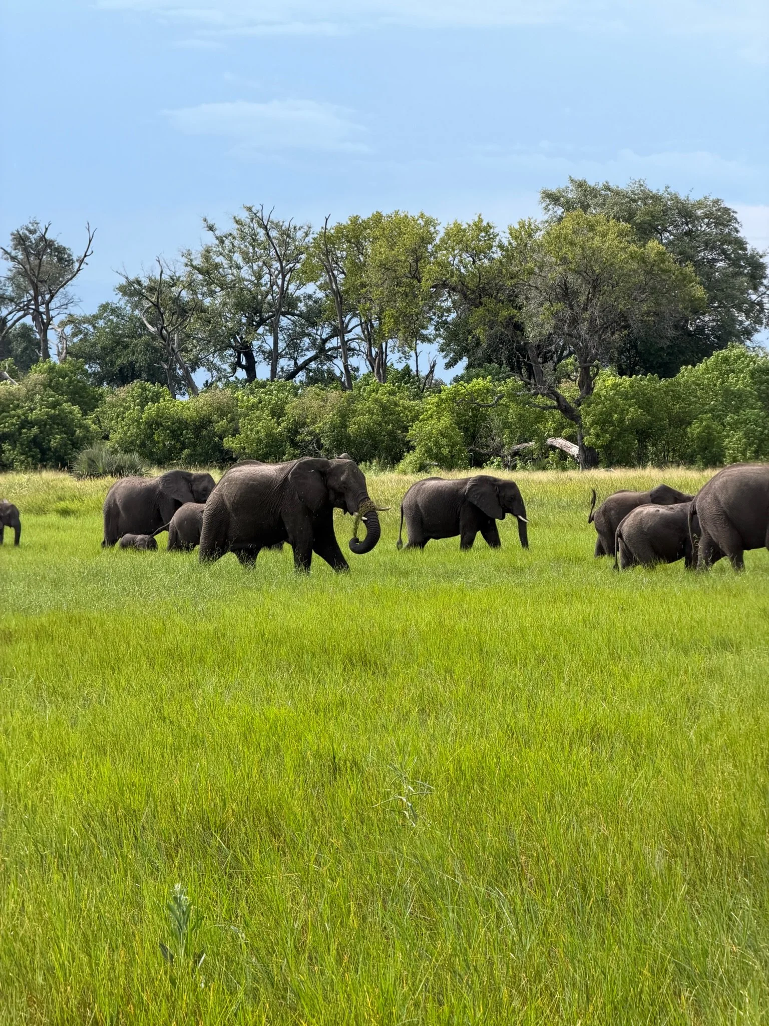 A Slow Journey Through South Africa and Botswana