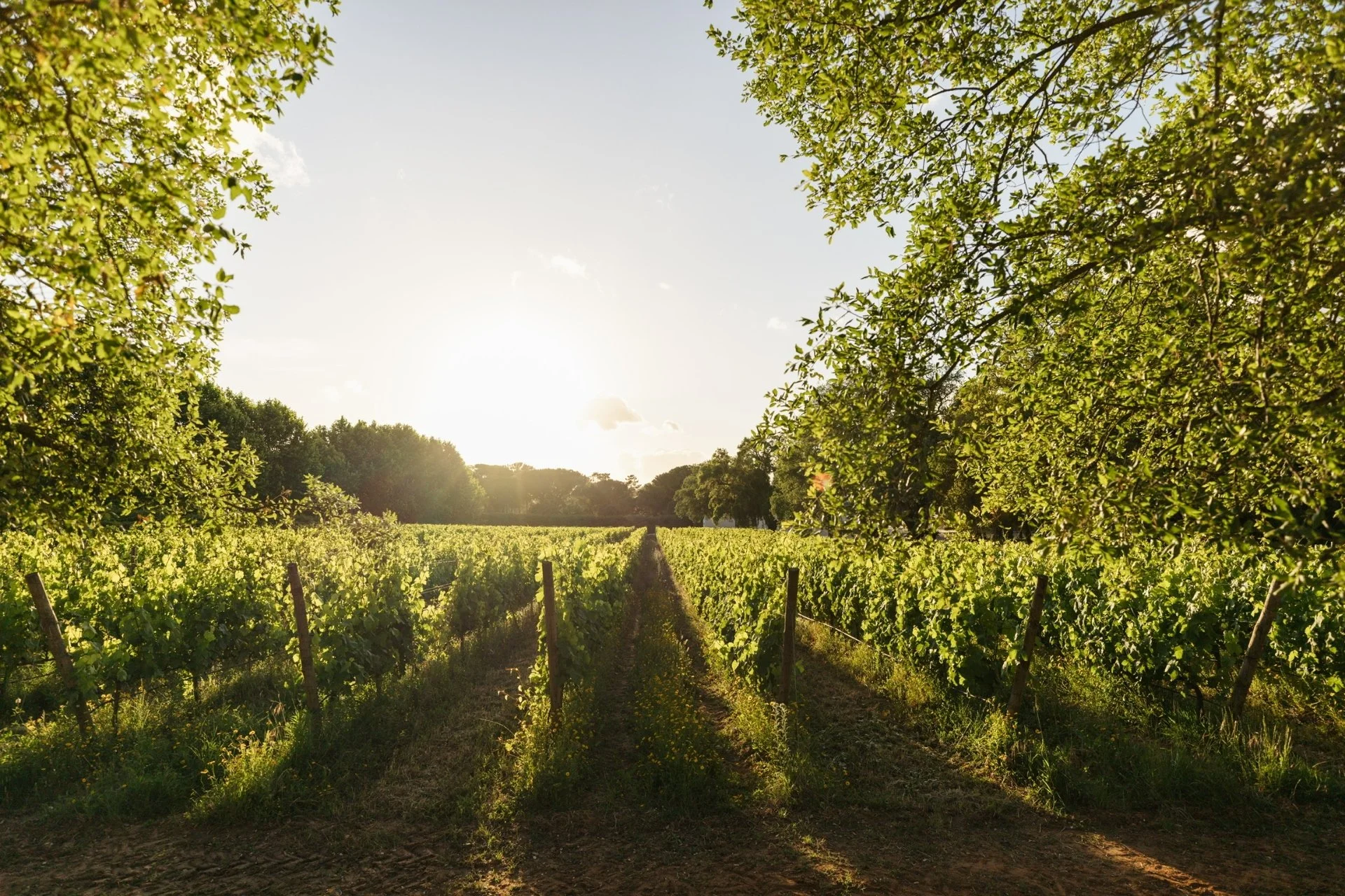 Herdade do Peru (4).jpg