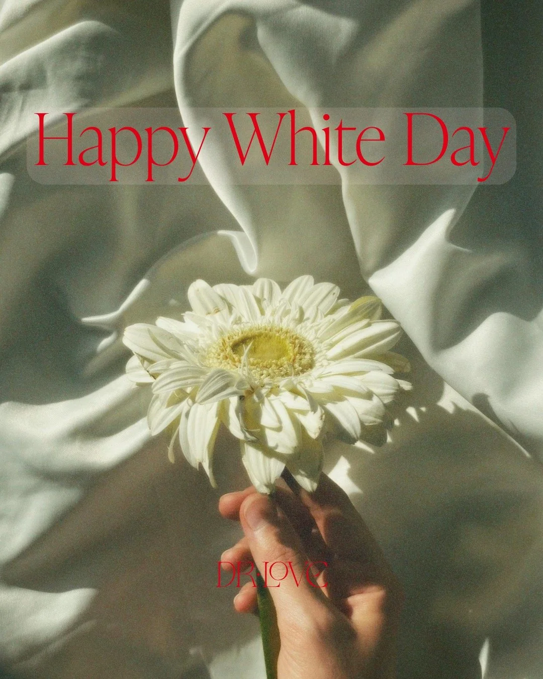 Happy White Day 🗯🍚

Heute ist ホワイトデー, der Wei&szlig;e Tag. In Japan und in Korea wird er als Antwort auf den Valentinstag gefeiert. Dort bekommen am Valentinstag ausschlie&szlig;lich die M&auml;nner die Geschenke. Einen Monat sp&auml;ter, am wei&sz