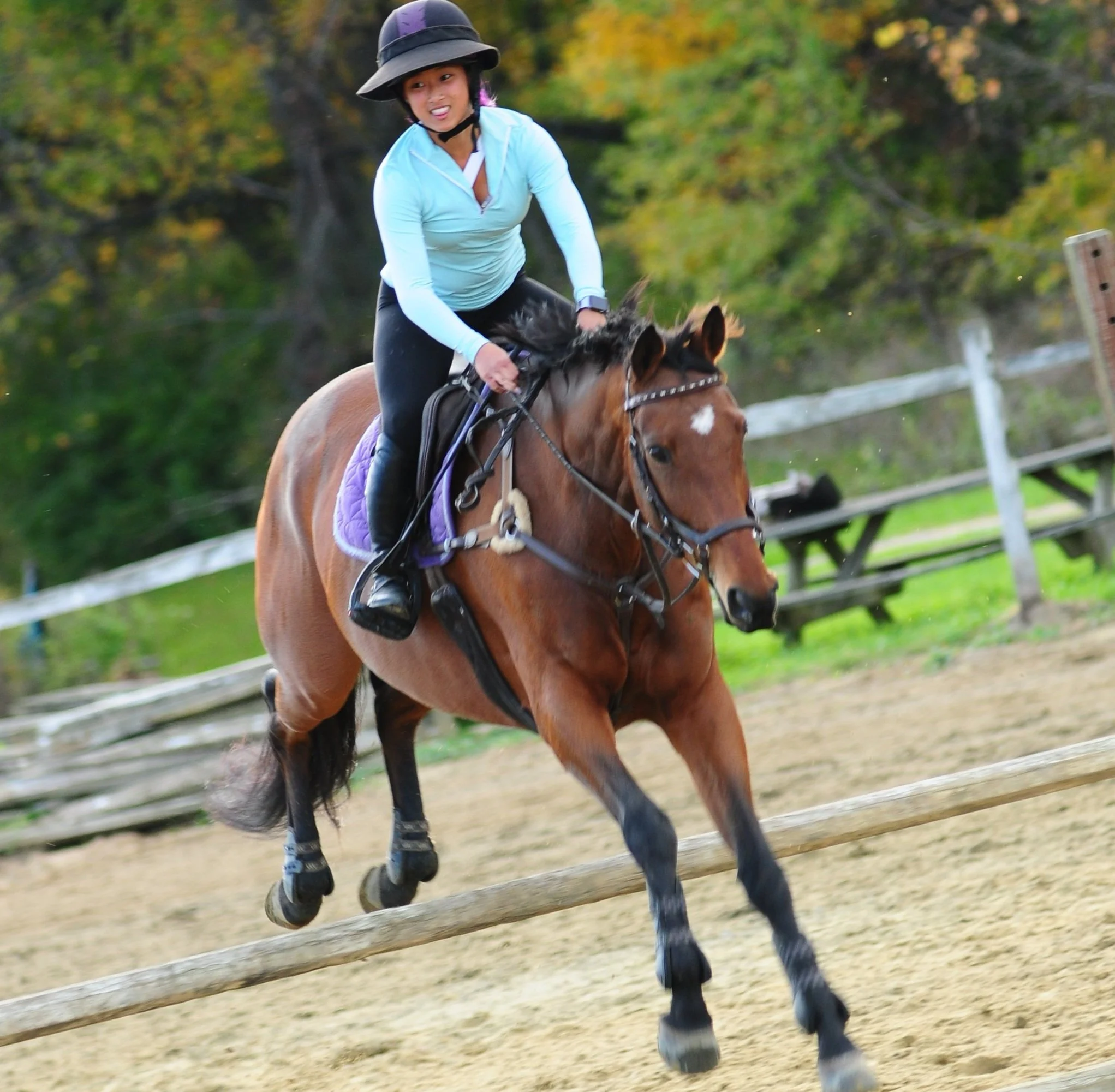 Services and Facilities — Standing Ovation Equestrian Center