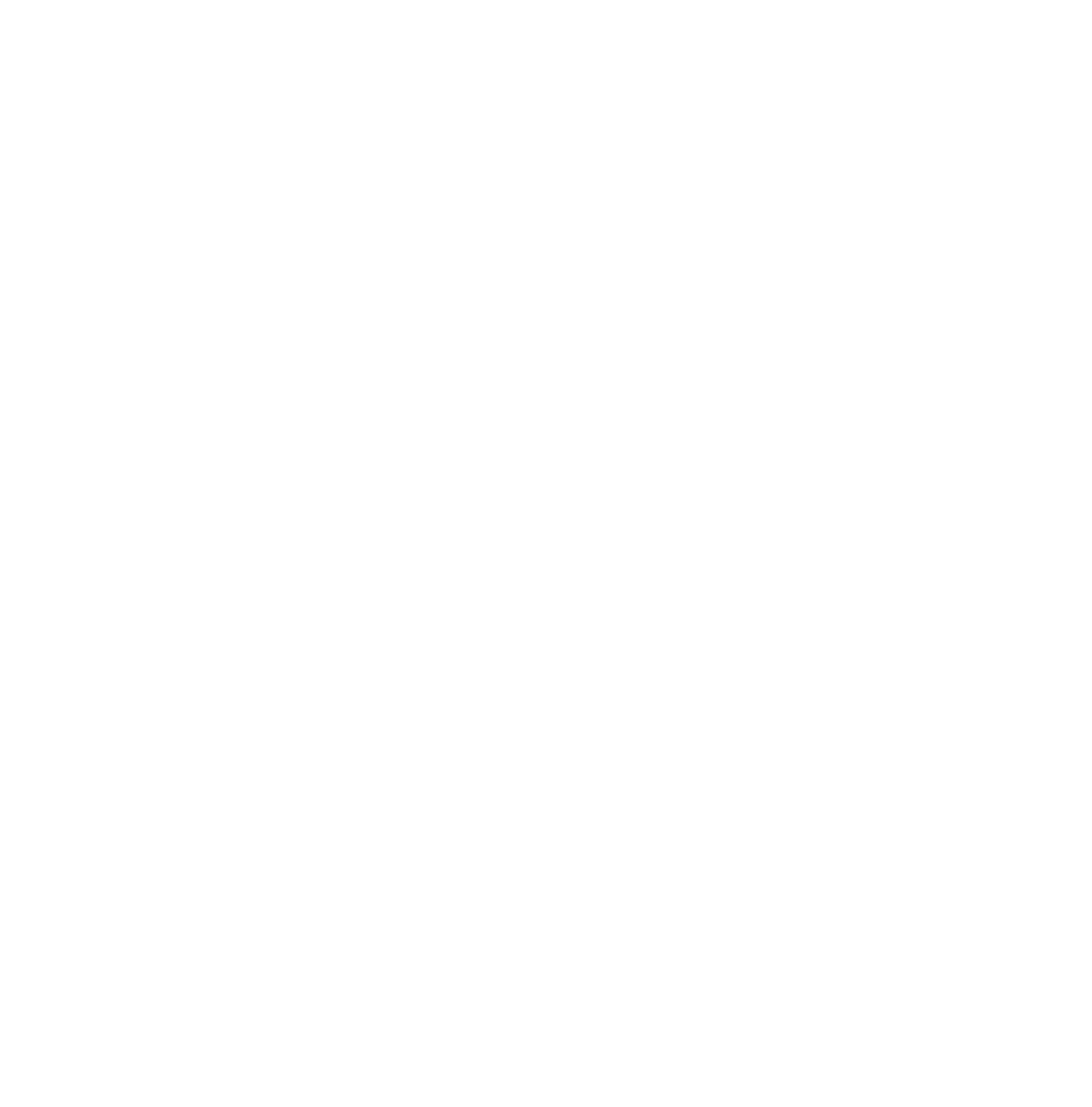 The Ocean  Surf School 