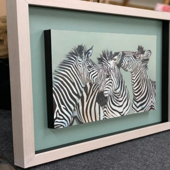 zebra 2.jpg