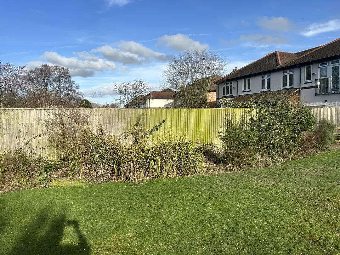 Chester Tree surgeon improvement in garden