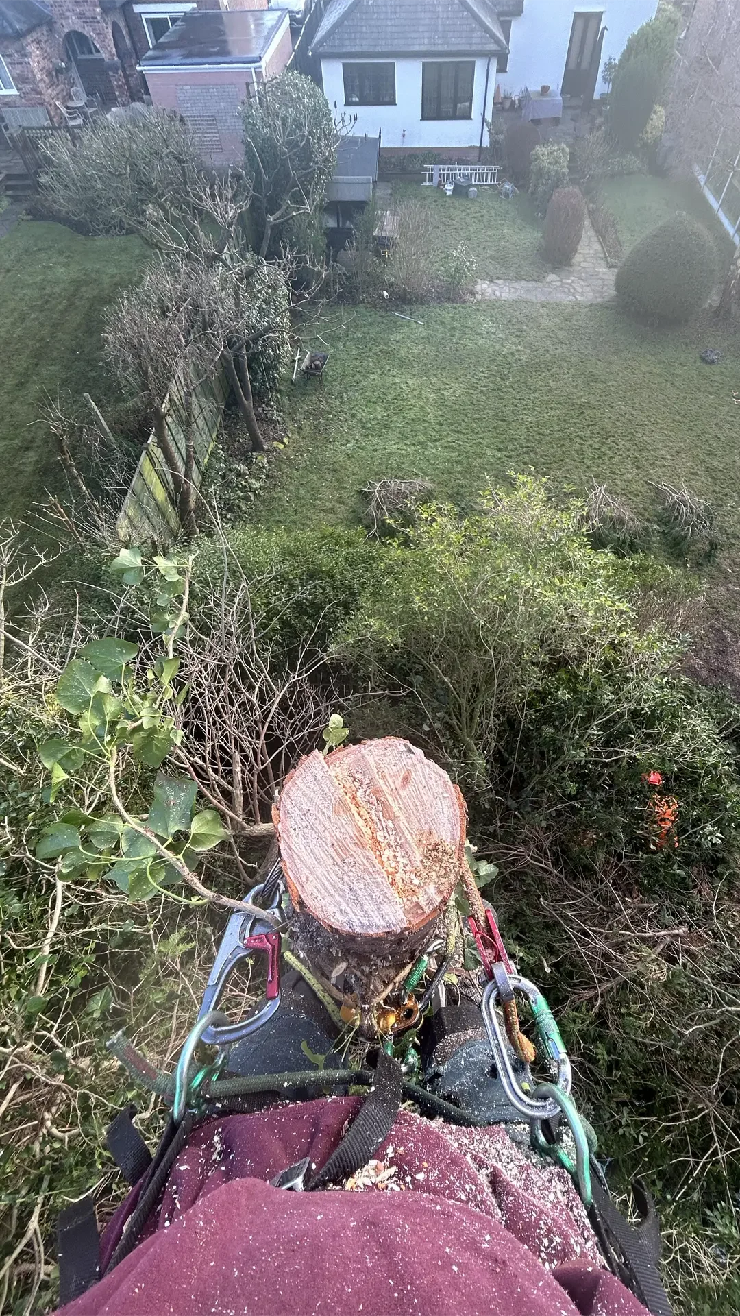 lumber jack in Chester