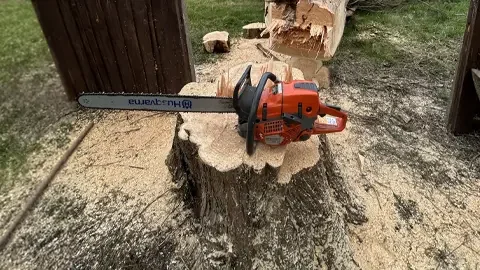 Tree removal and dismantling in Chester Cheshire and the northwest