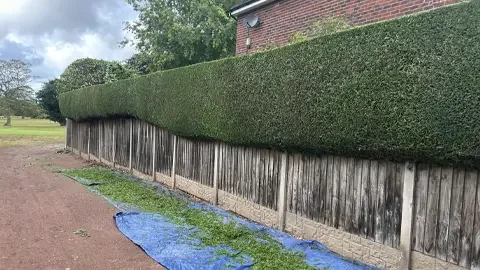 hedge maintenance and trimming in north Wales and Chester