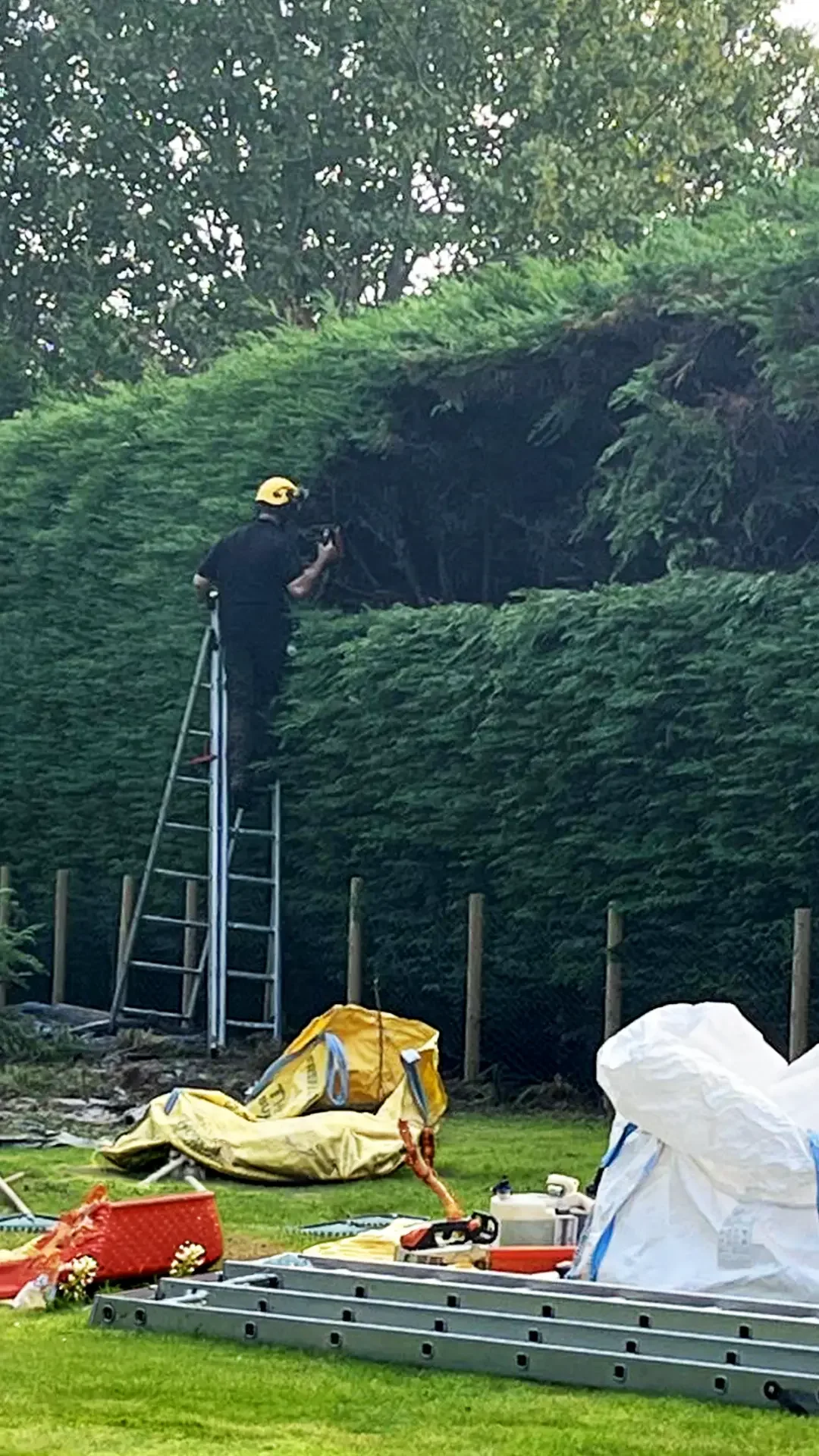 Hedge trimming in Chester