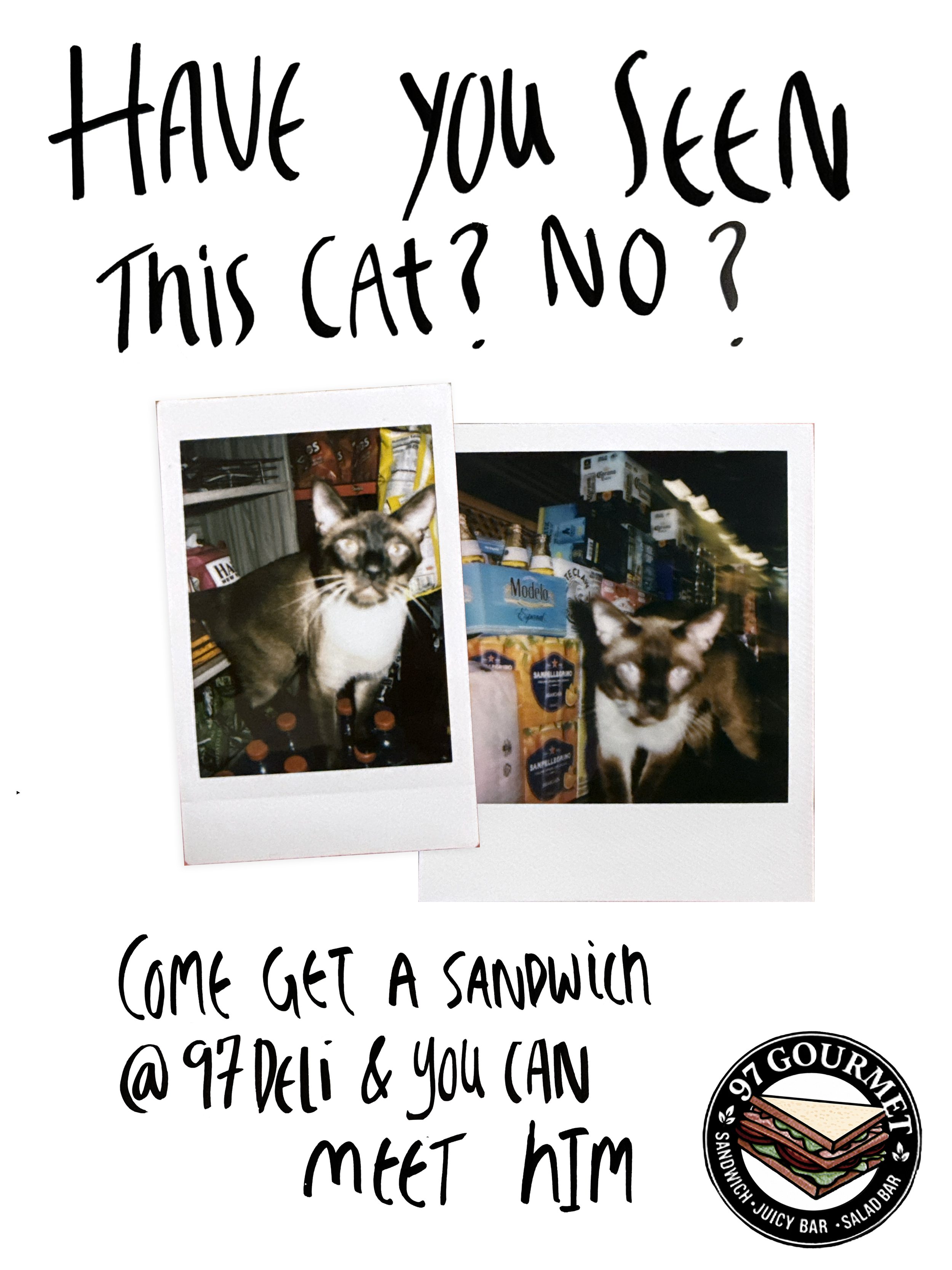 missingcat.png
