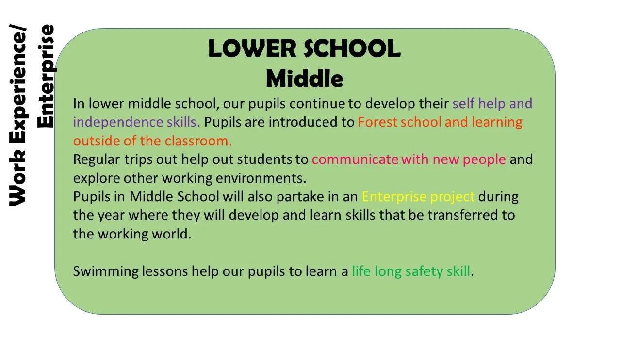 INFO Work Exp enterprise M.jpg