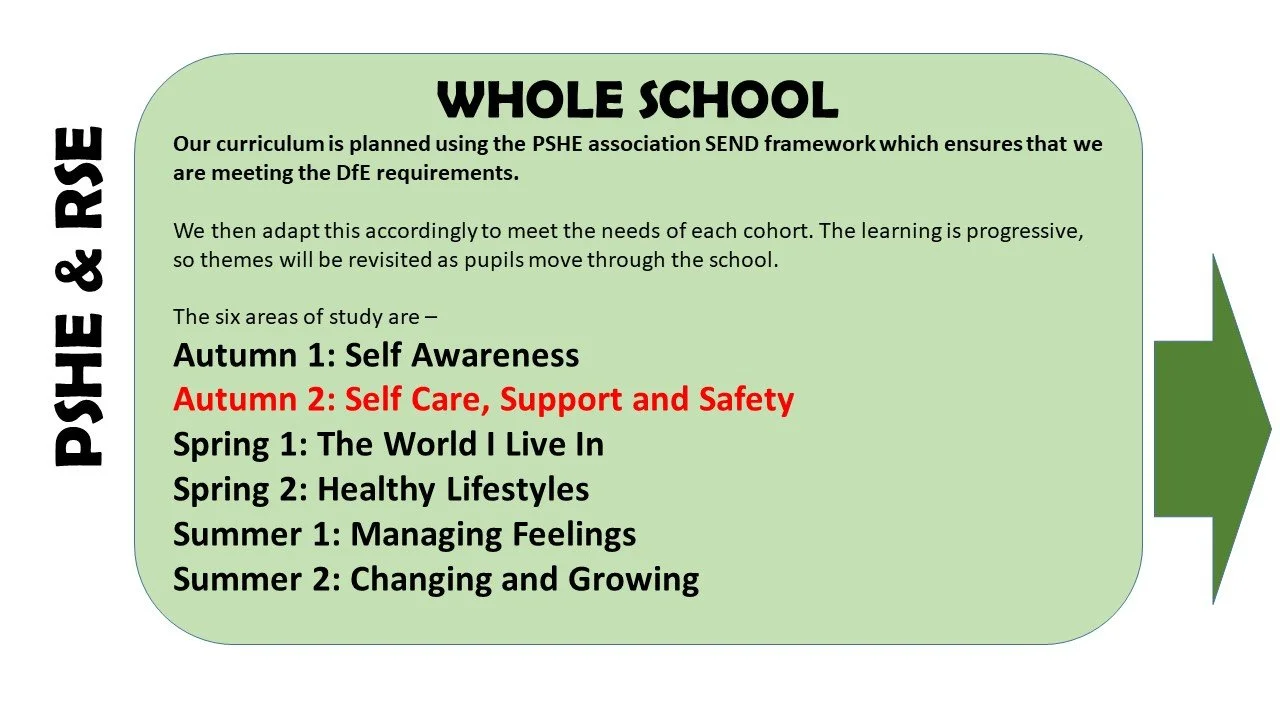 PSHE RSE  whole school.jpg