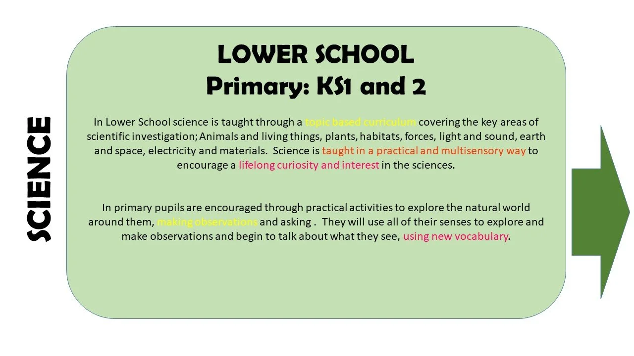 SUBJECT INFORMATION Science P.jpg