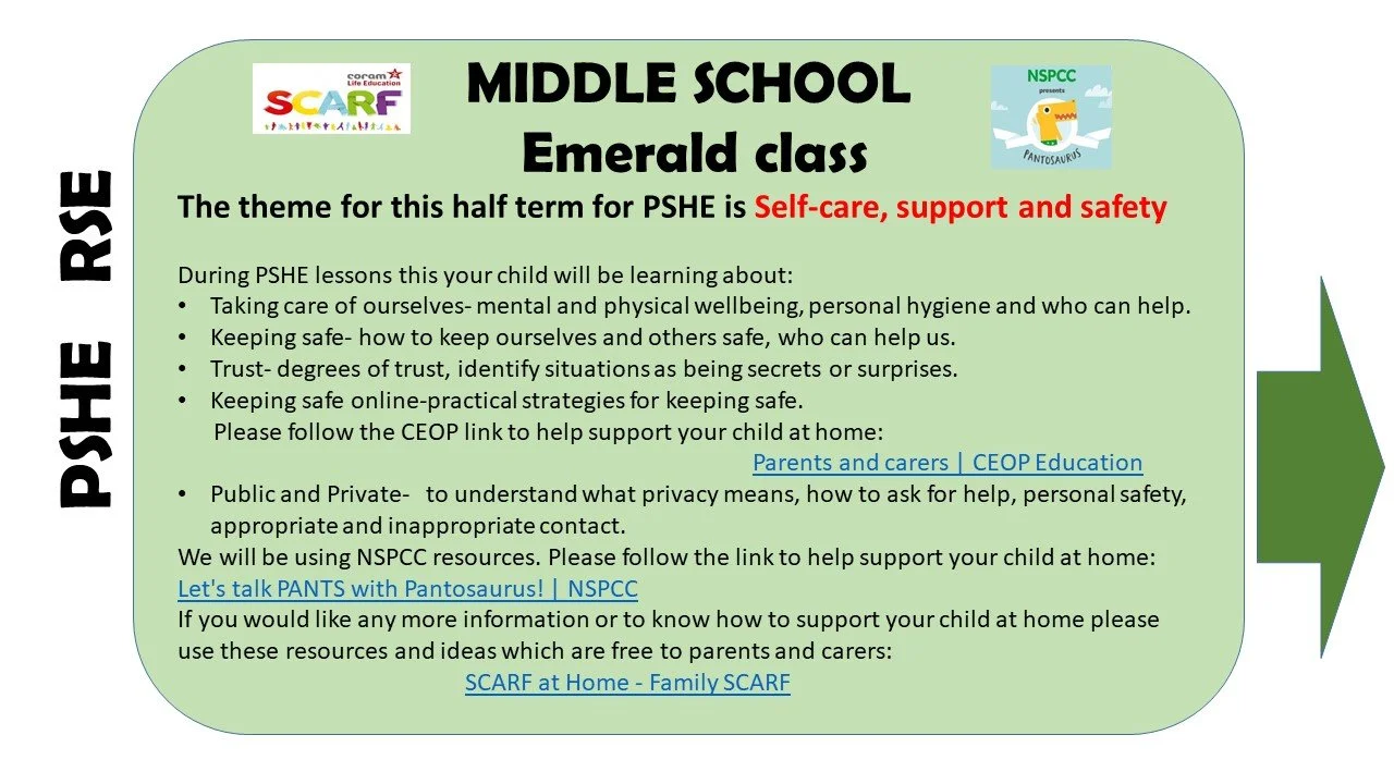 PSHE RSE Emerald Class.jpg