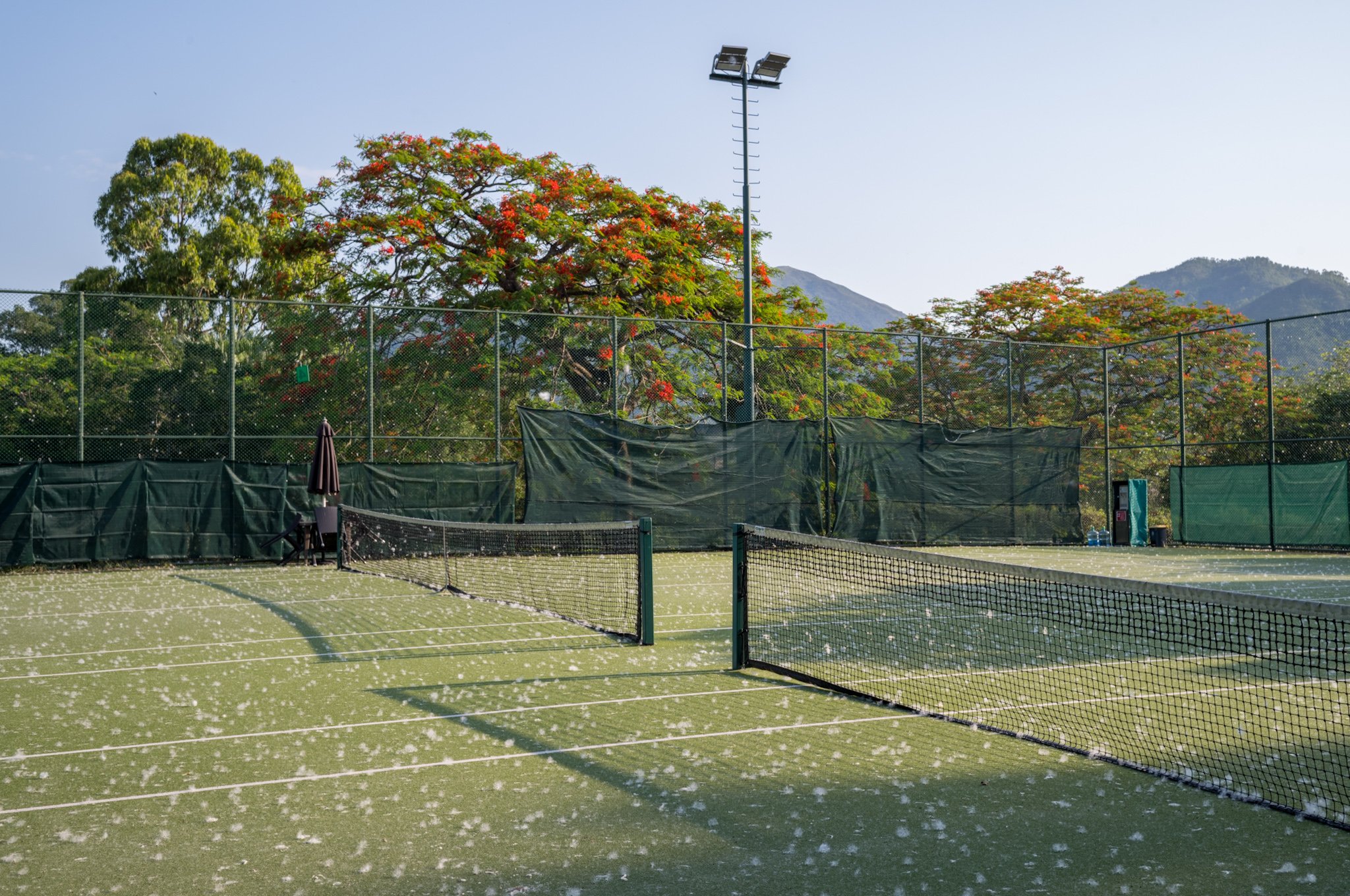 Cotton Fluff on Tennis Court, Hong Kong