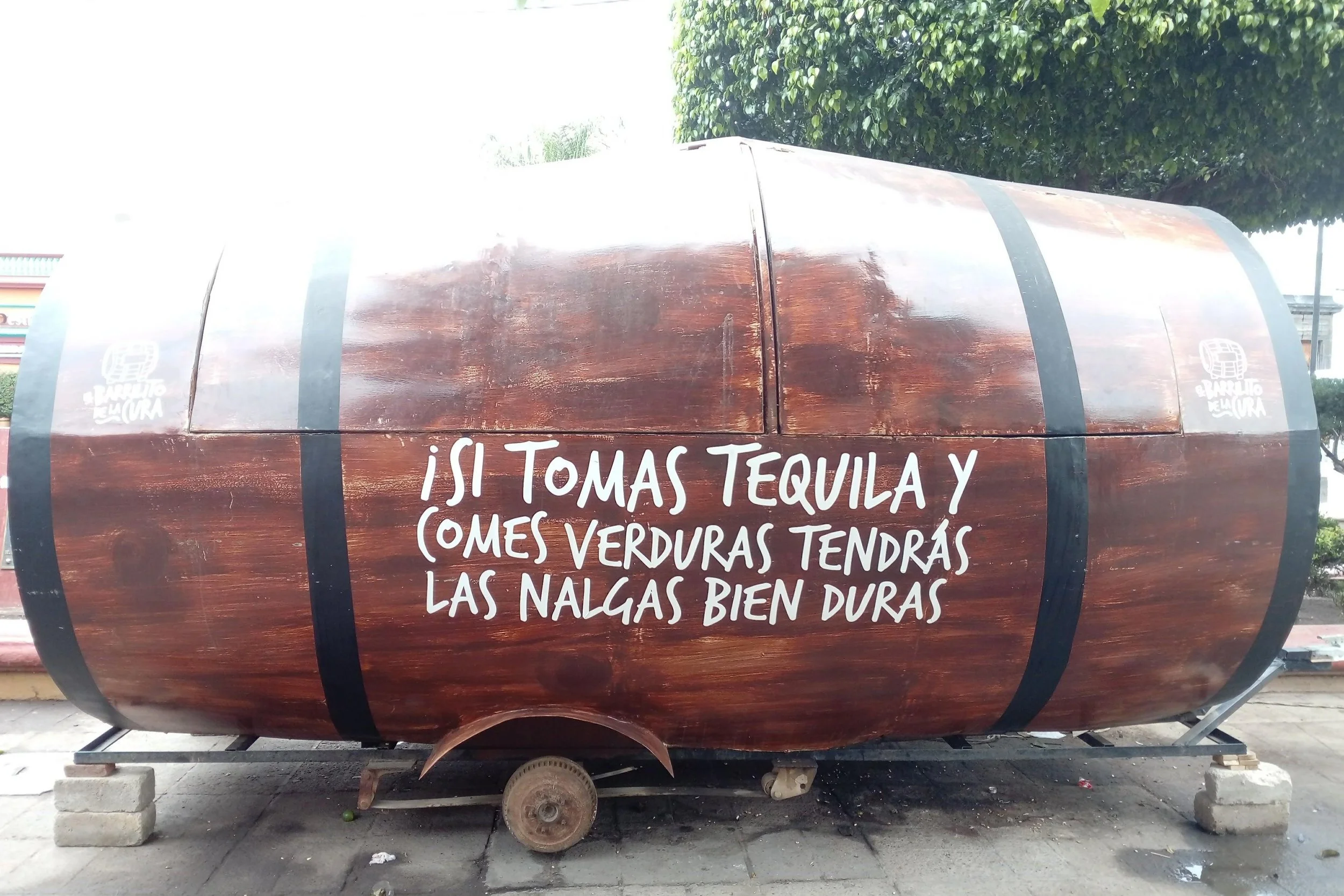 Descubre Guadalajara y Tequila — Turista viajera