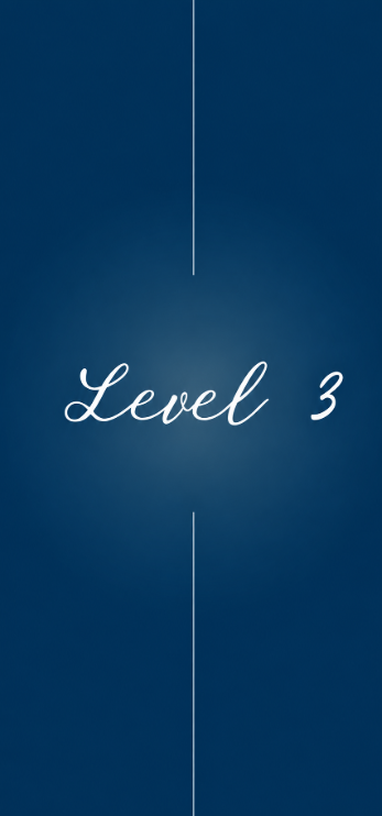 Level 3.png