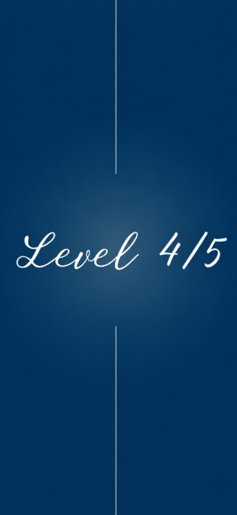 Level 4/5 Ballet & Modern