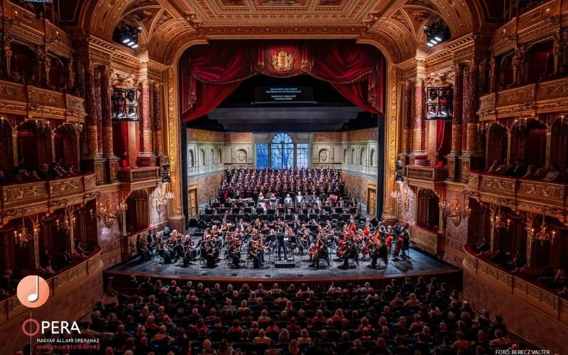 Reading an orchestral score: A comprehensive guide to understanding the structure of a piece