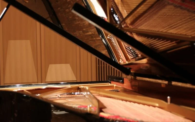 The Most Unusual Pianos, from the 19th Century to Today