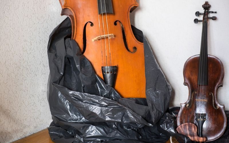 Violon ou violoncelle : quel instrument choisir ?