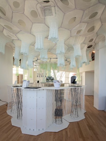  Installation by Jenny Sabin. Photo by Chris Eckert. 
