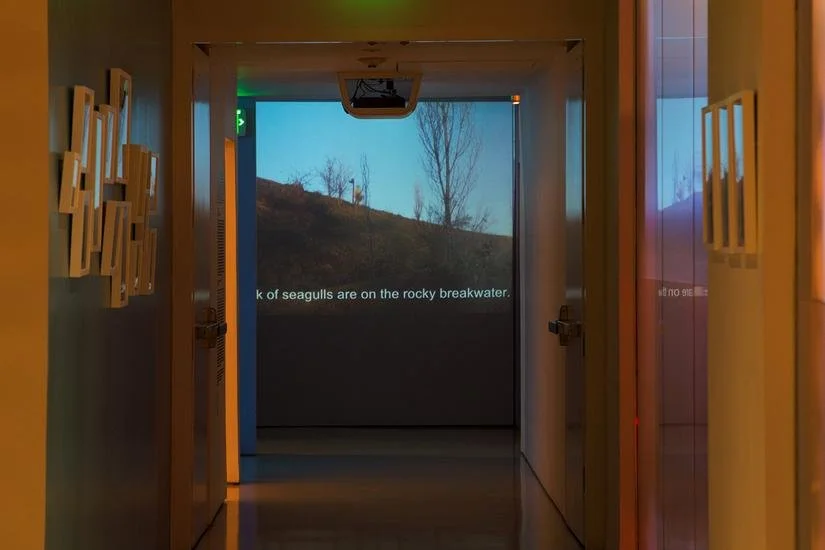 FLATFORM: STANDARD PROJECTION
