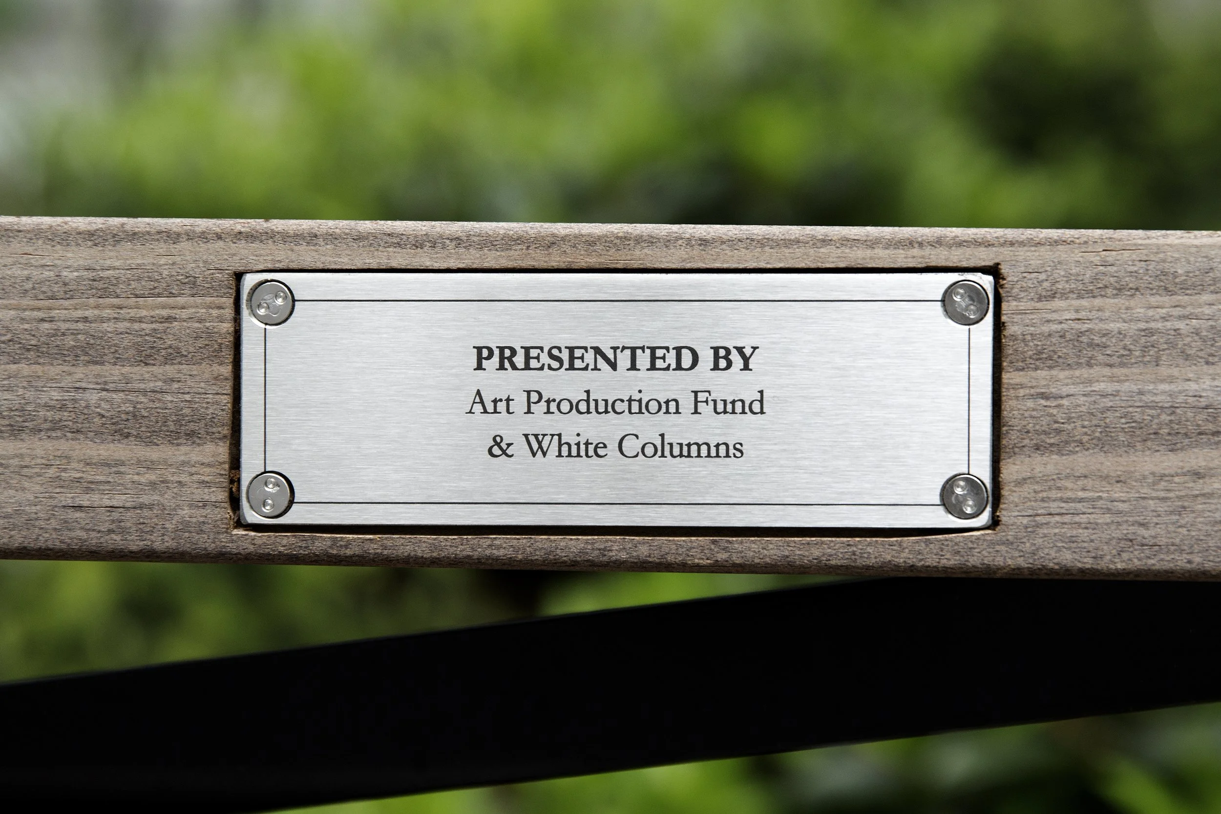  Courtesy of Art Production Fund and White Columns 
