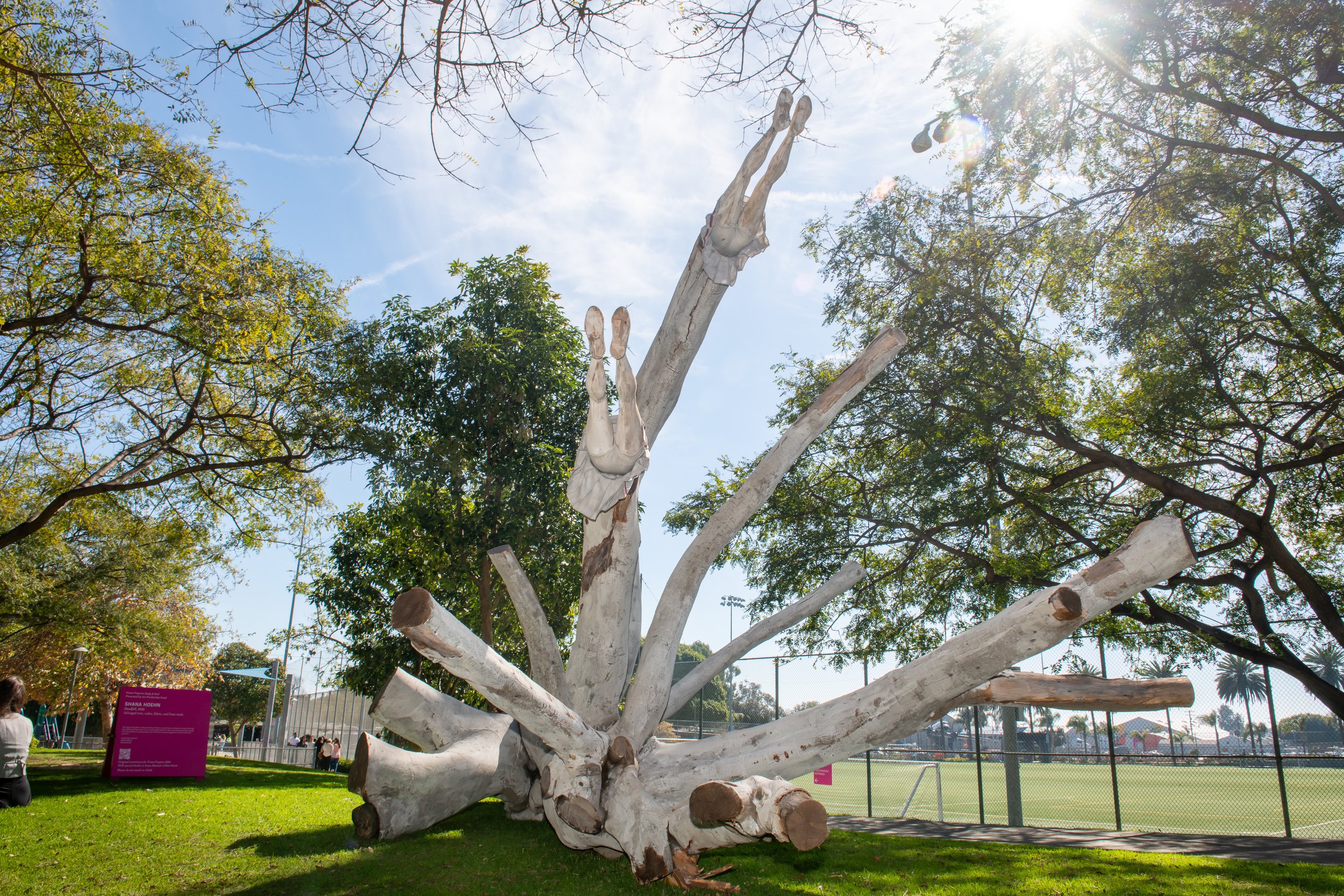 Shana Hoehn, Deadfall, 2026 