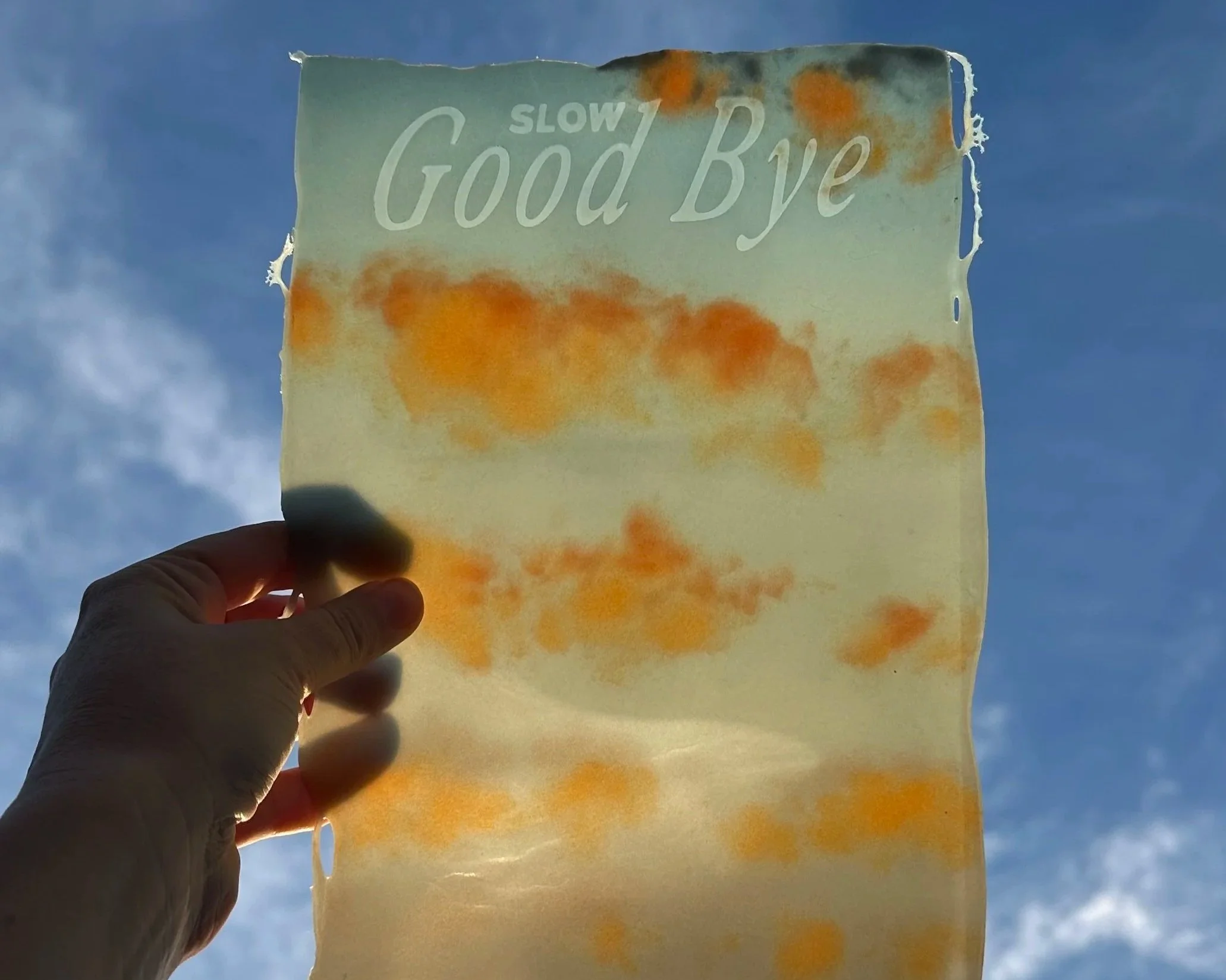  Courtesy of the artist  